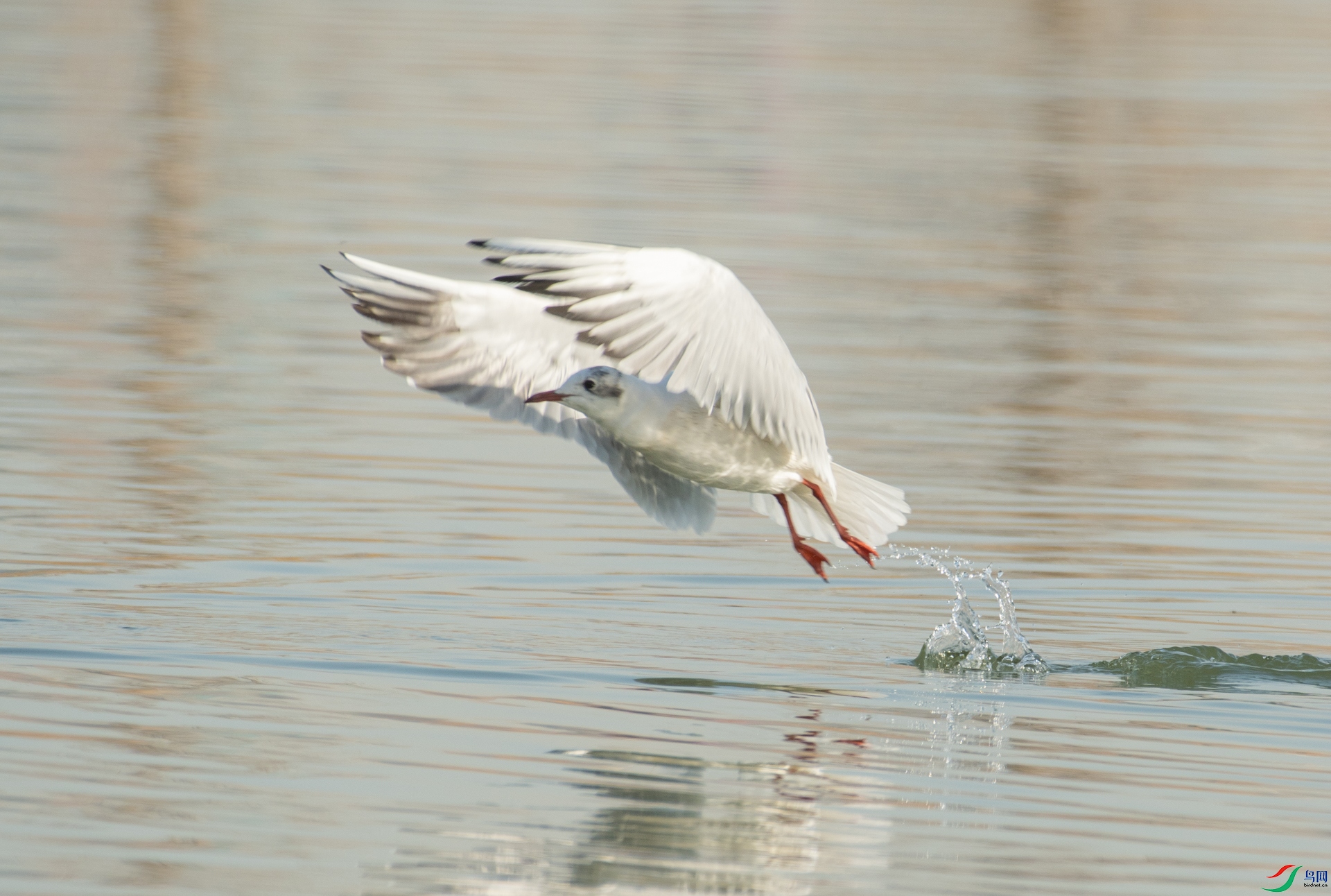 DSC_3718.jpg