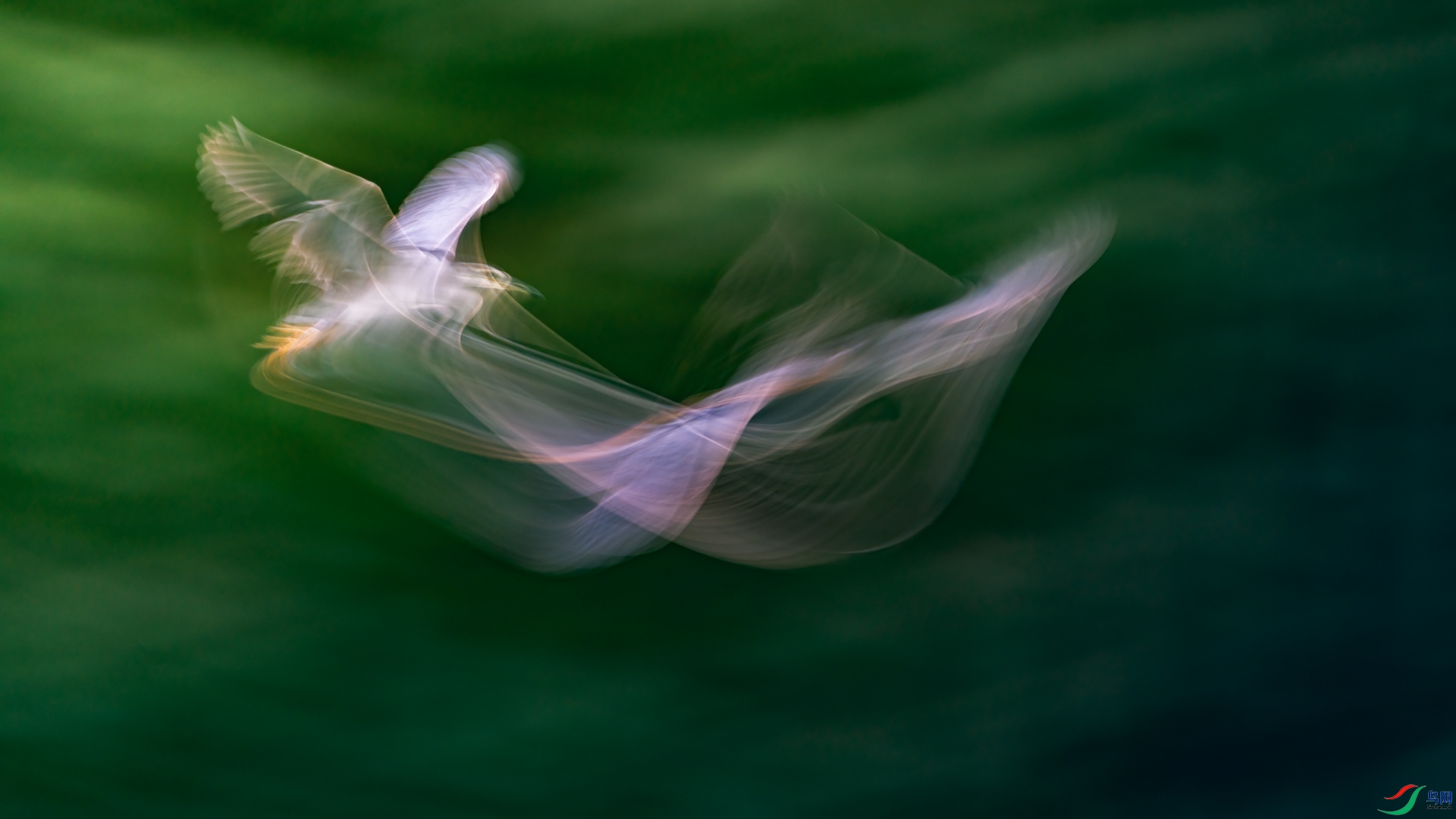 ٻӰ_DSC5944.jpg