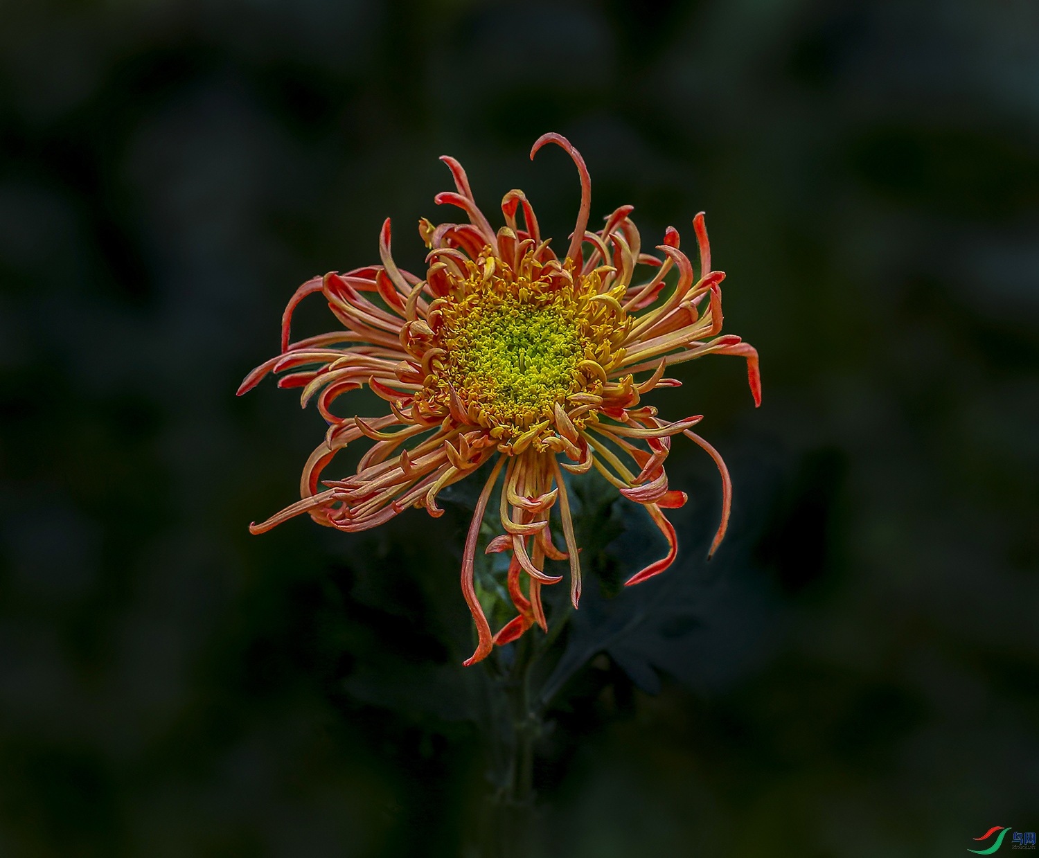 001435832U9A0969 ������01000k.jpg