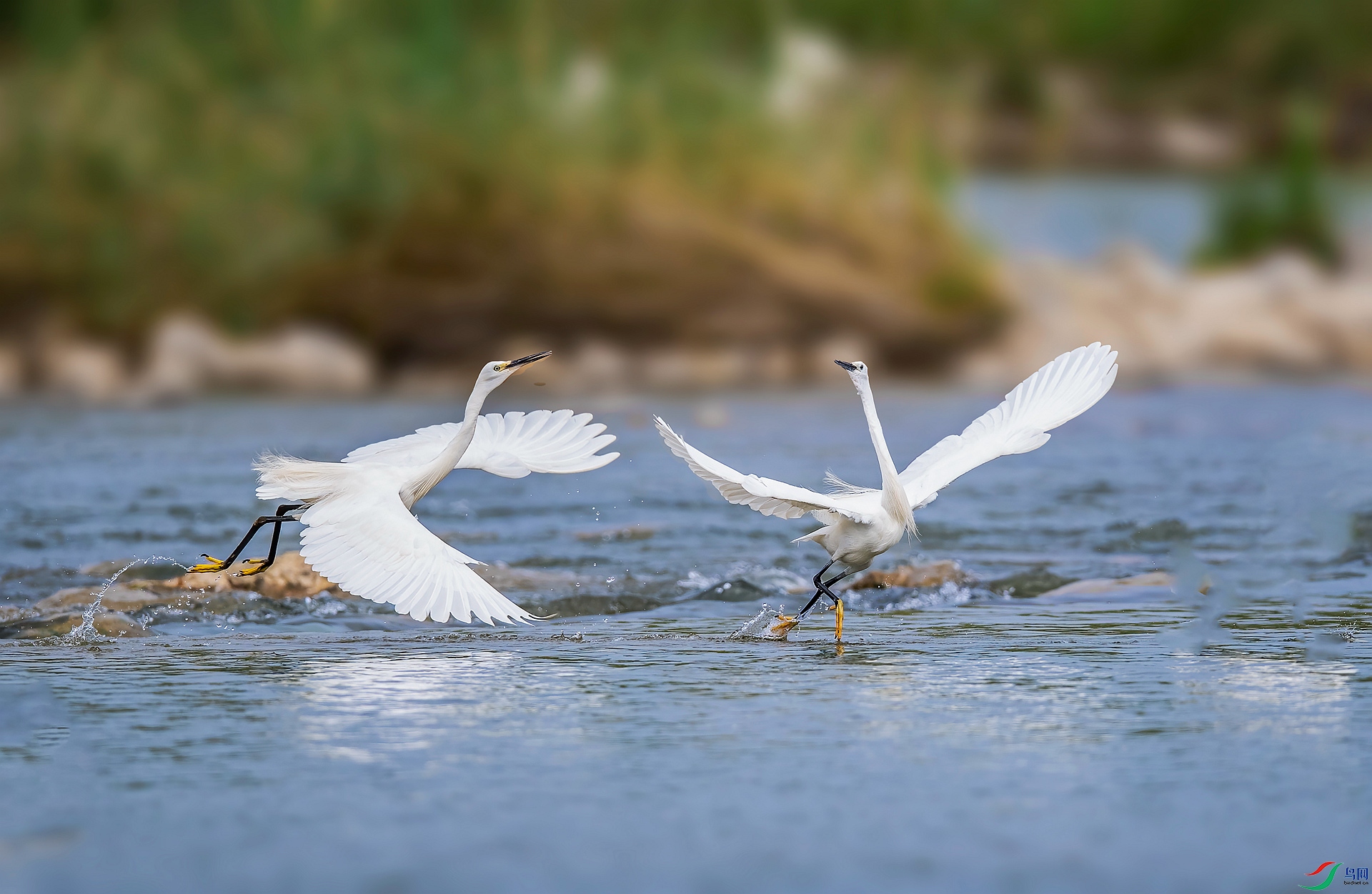 DSC_7466 ����_����.jpg