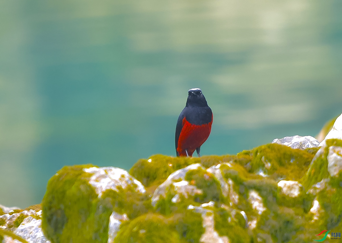 DSC_2260.JPG