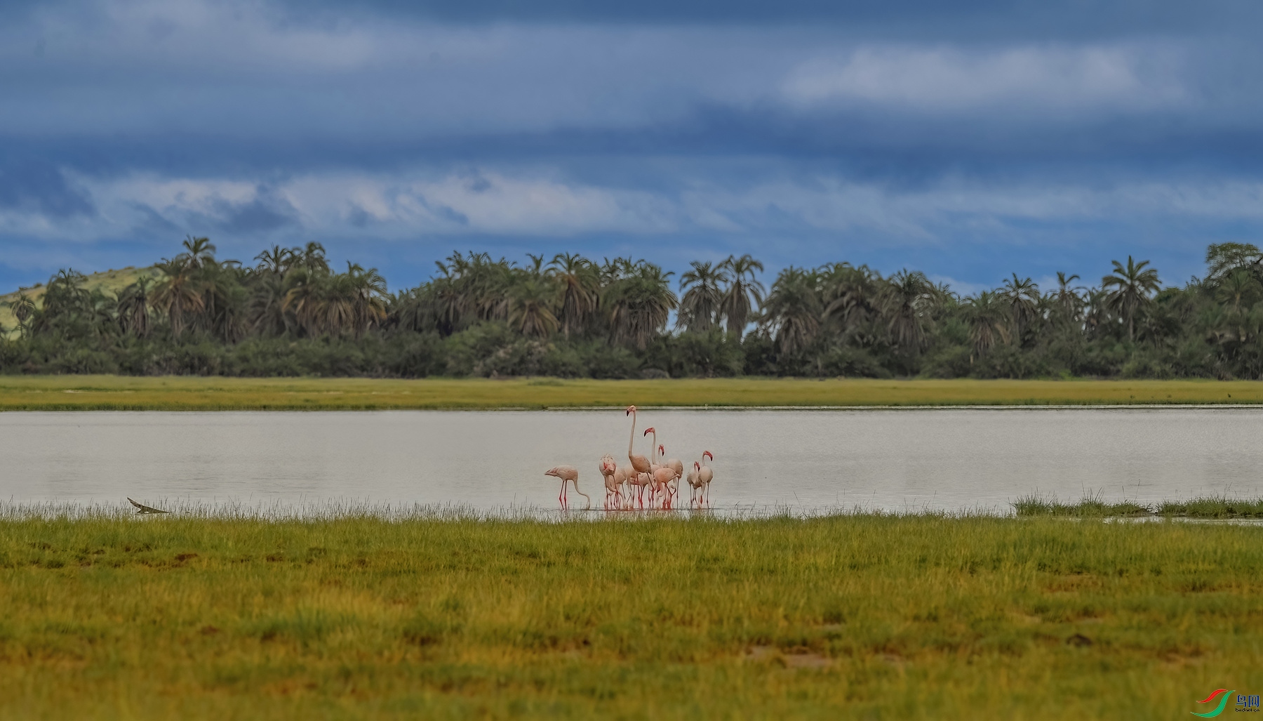 DSC3762_����.jpg