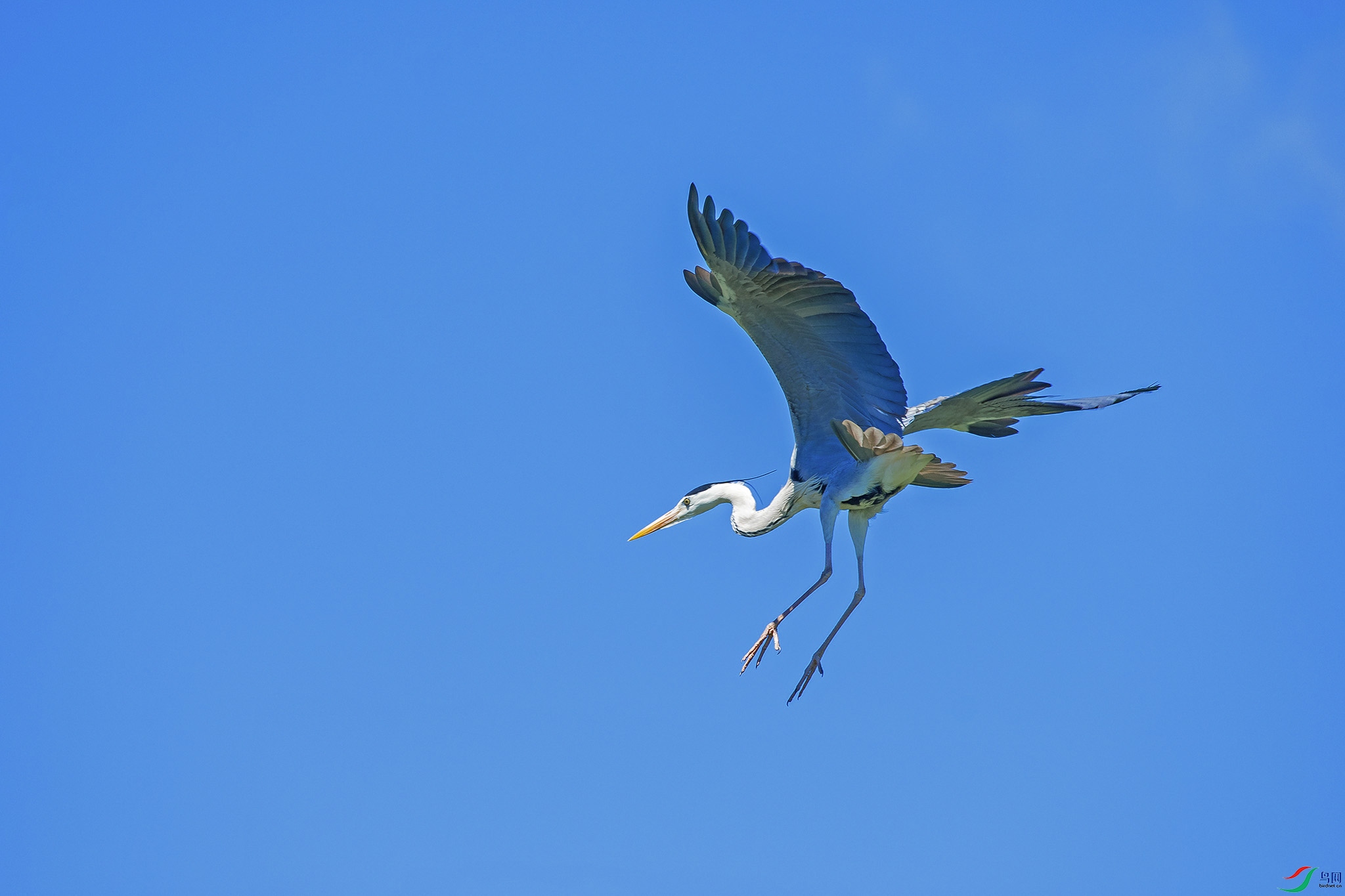 DSC_0093.jpg