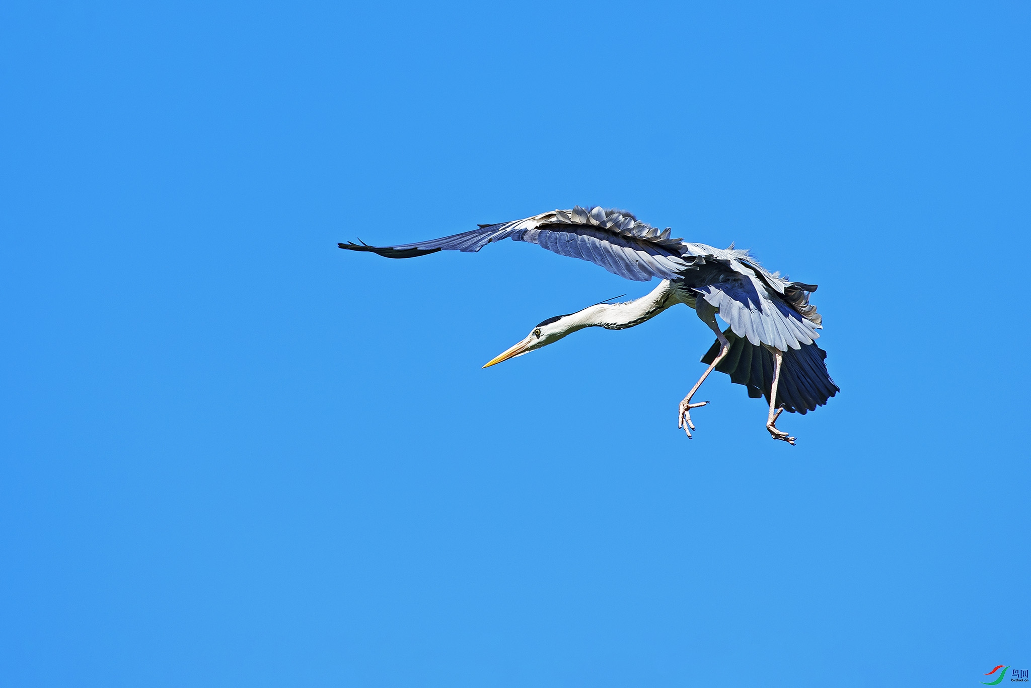 DSC_0095.jpg