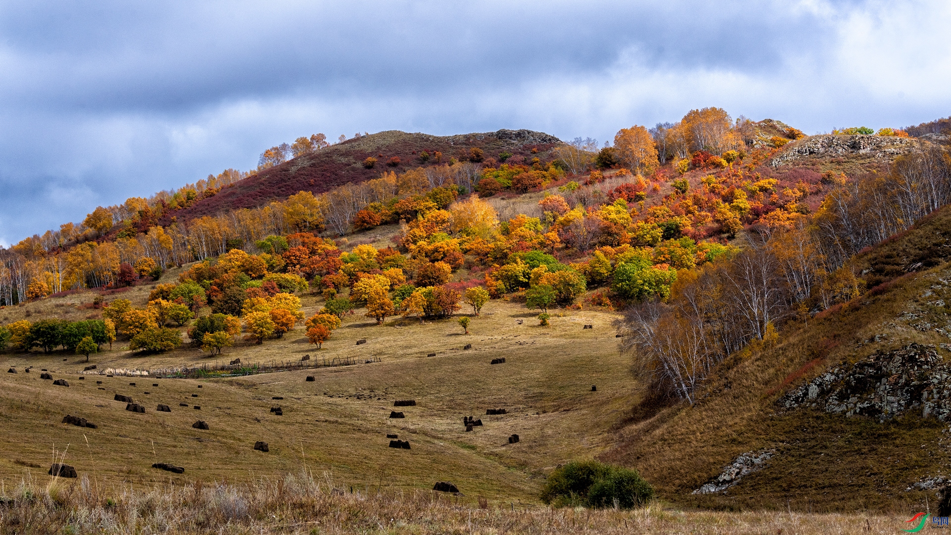 _DSC6620.jpg