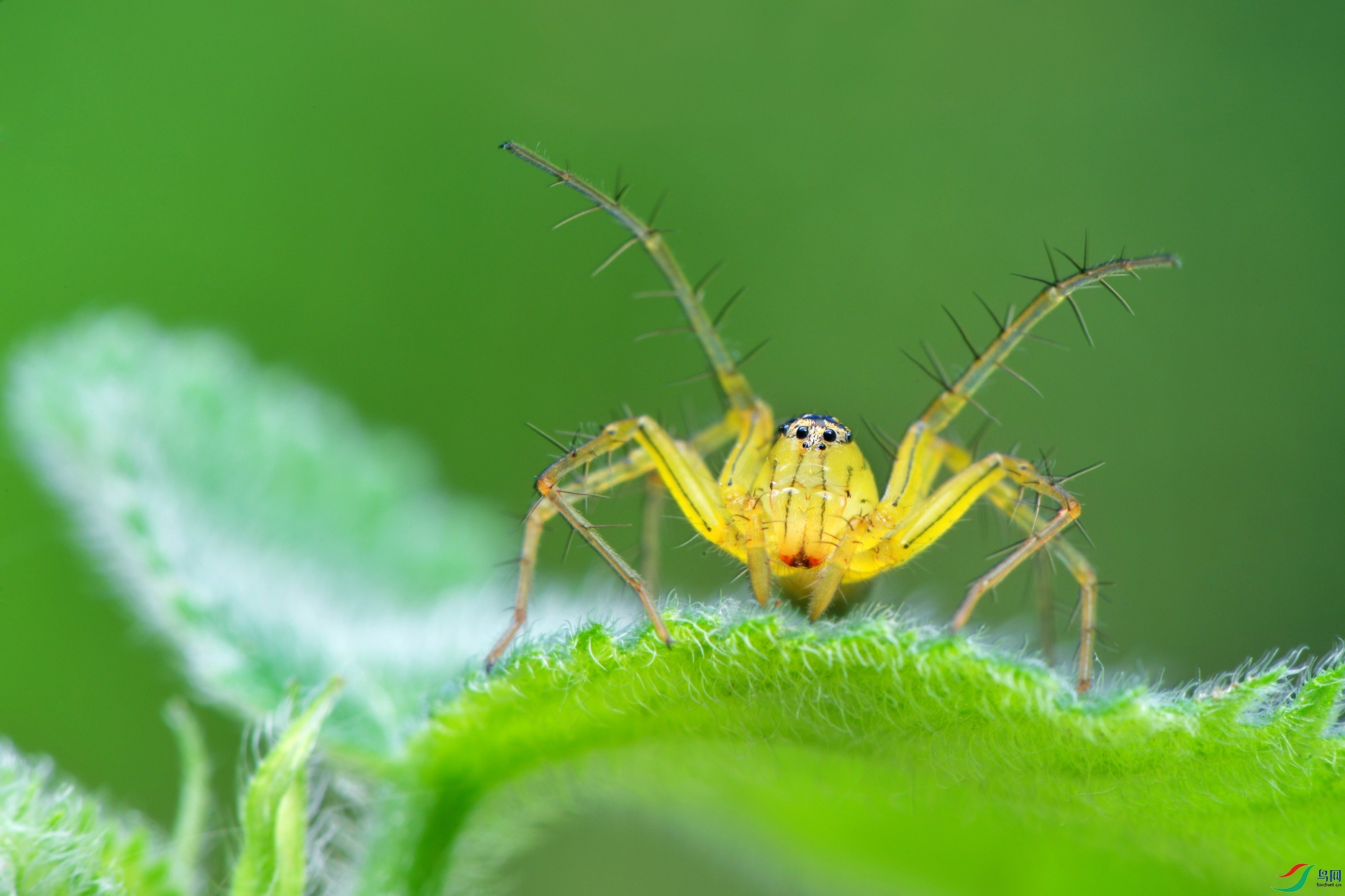 DSC_8944 ����.jpg