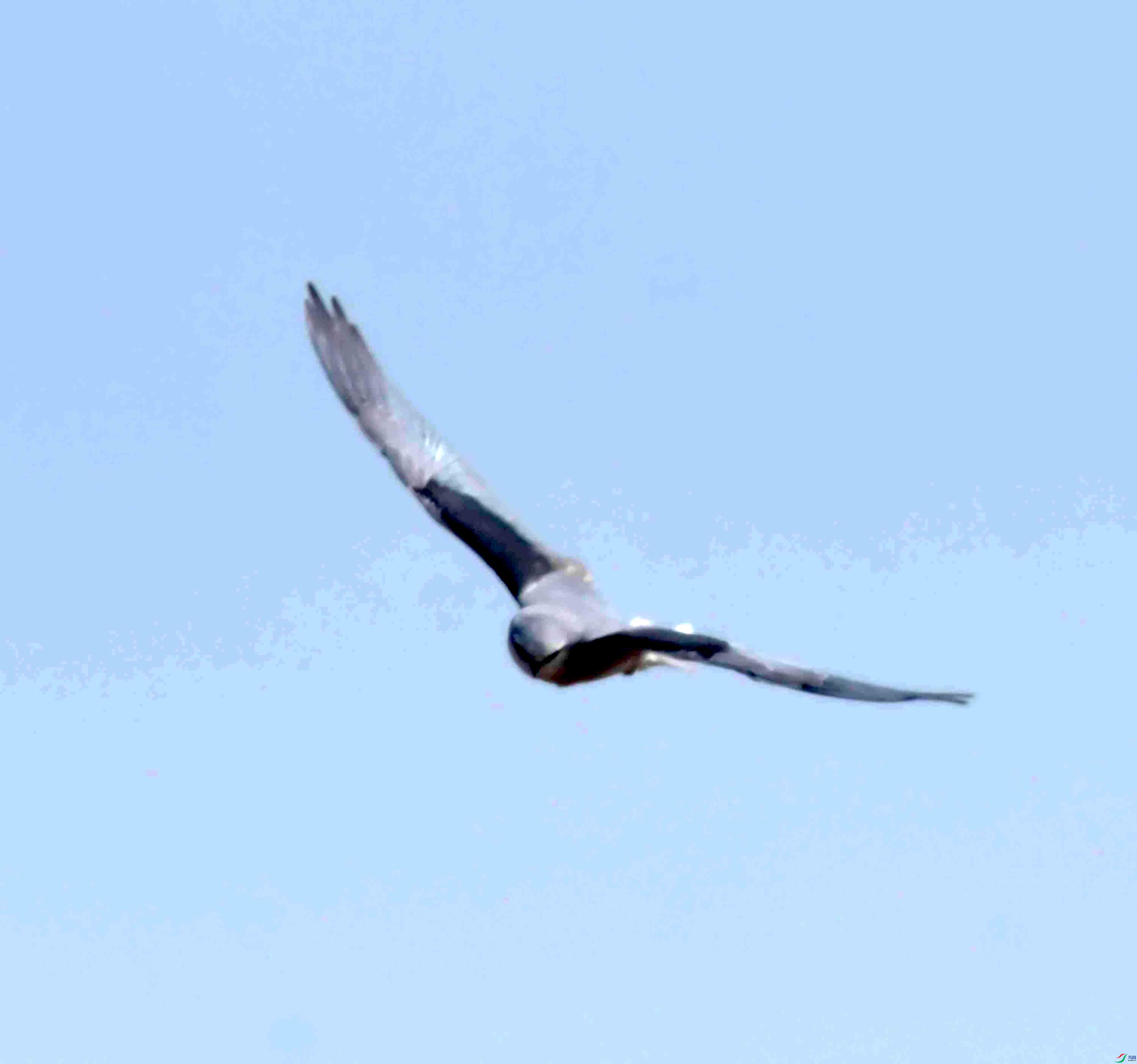 DSC_4017.JPG
