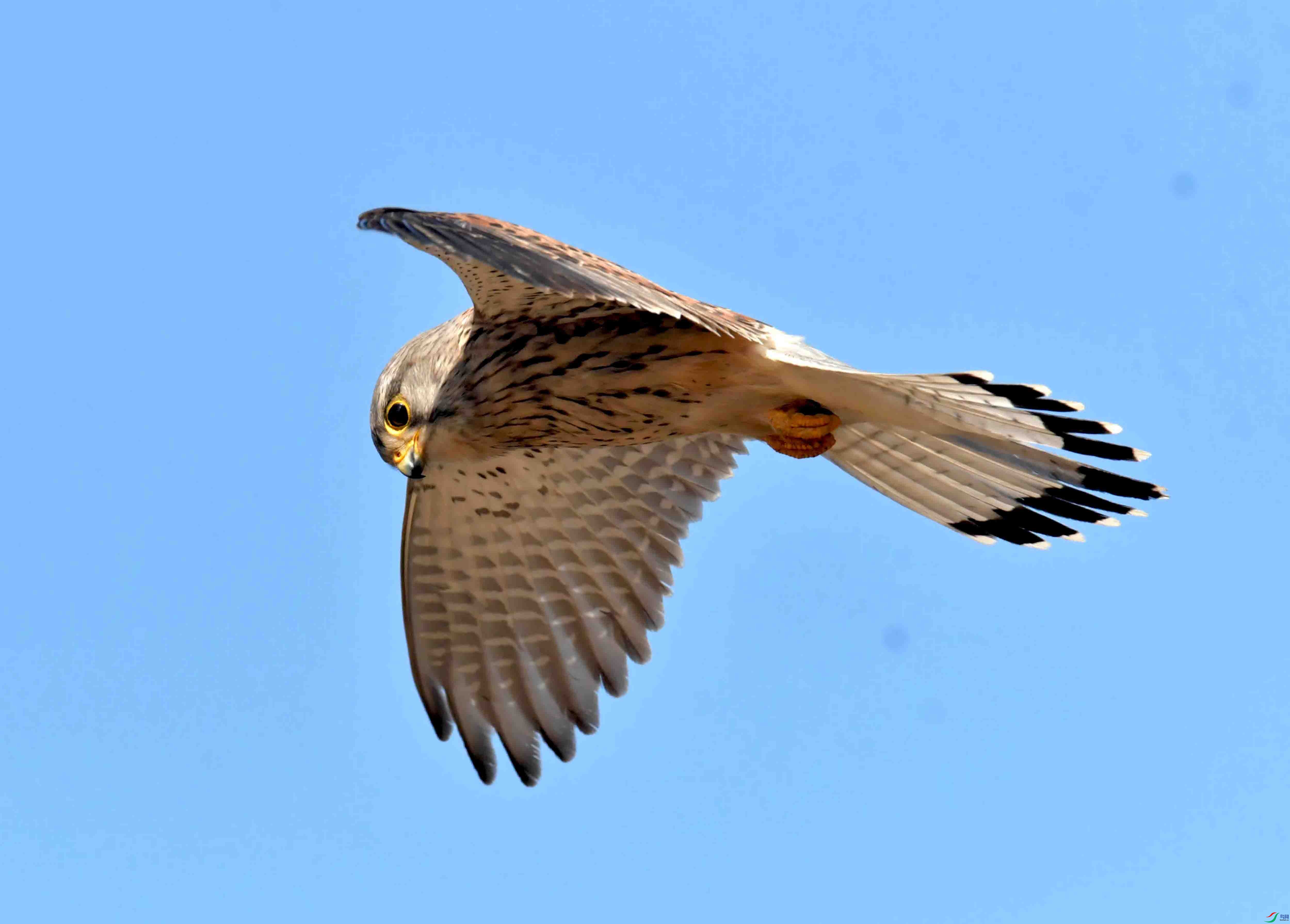 DSC_2865.JPG