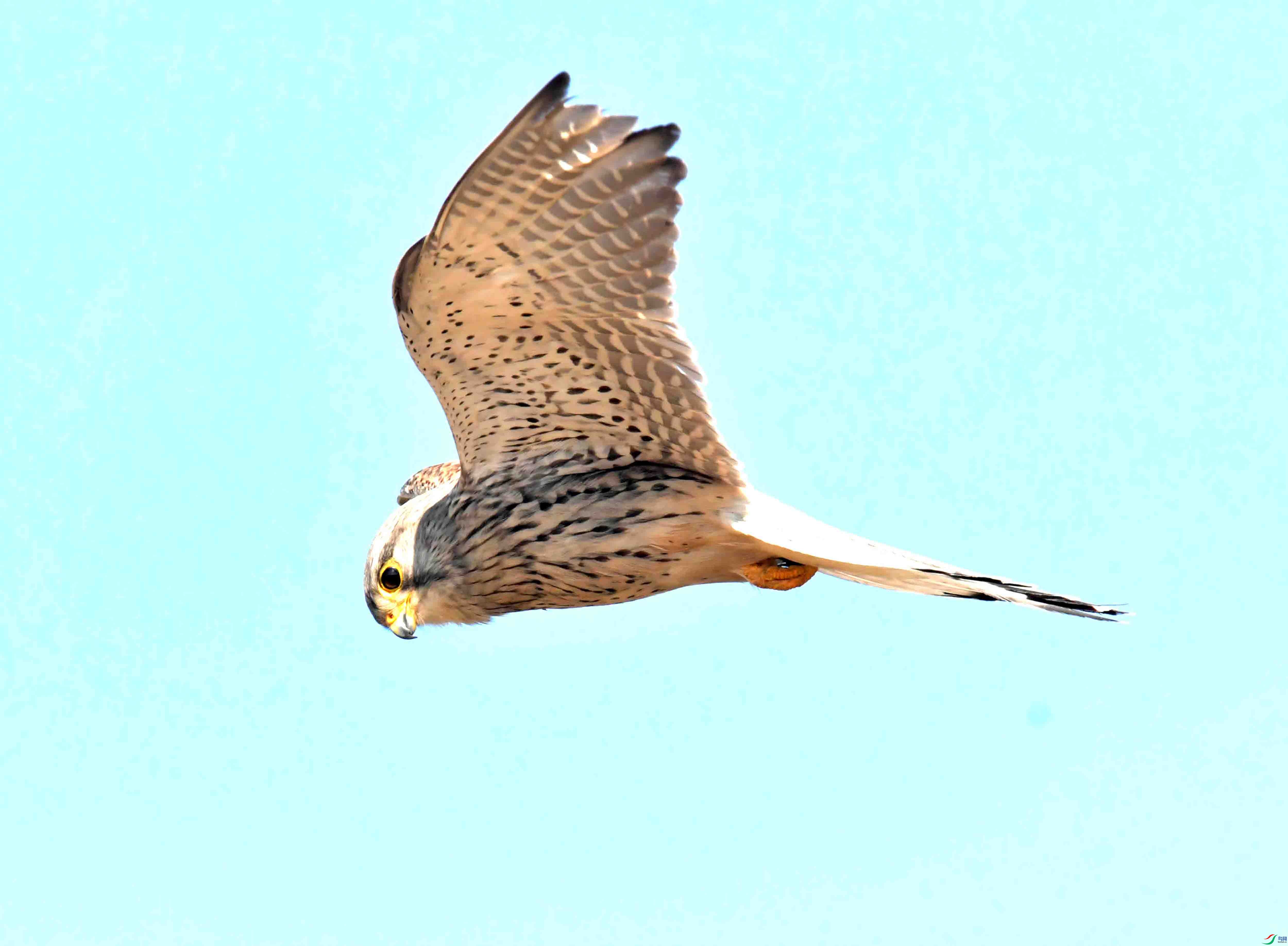 DSC_2872.JPG