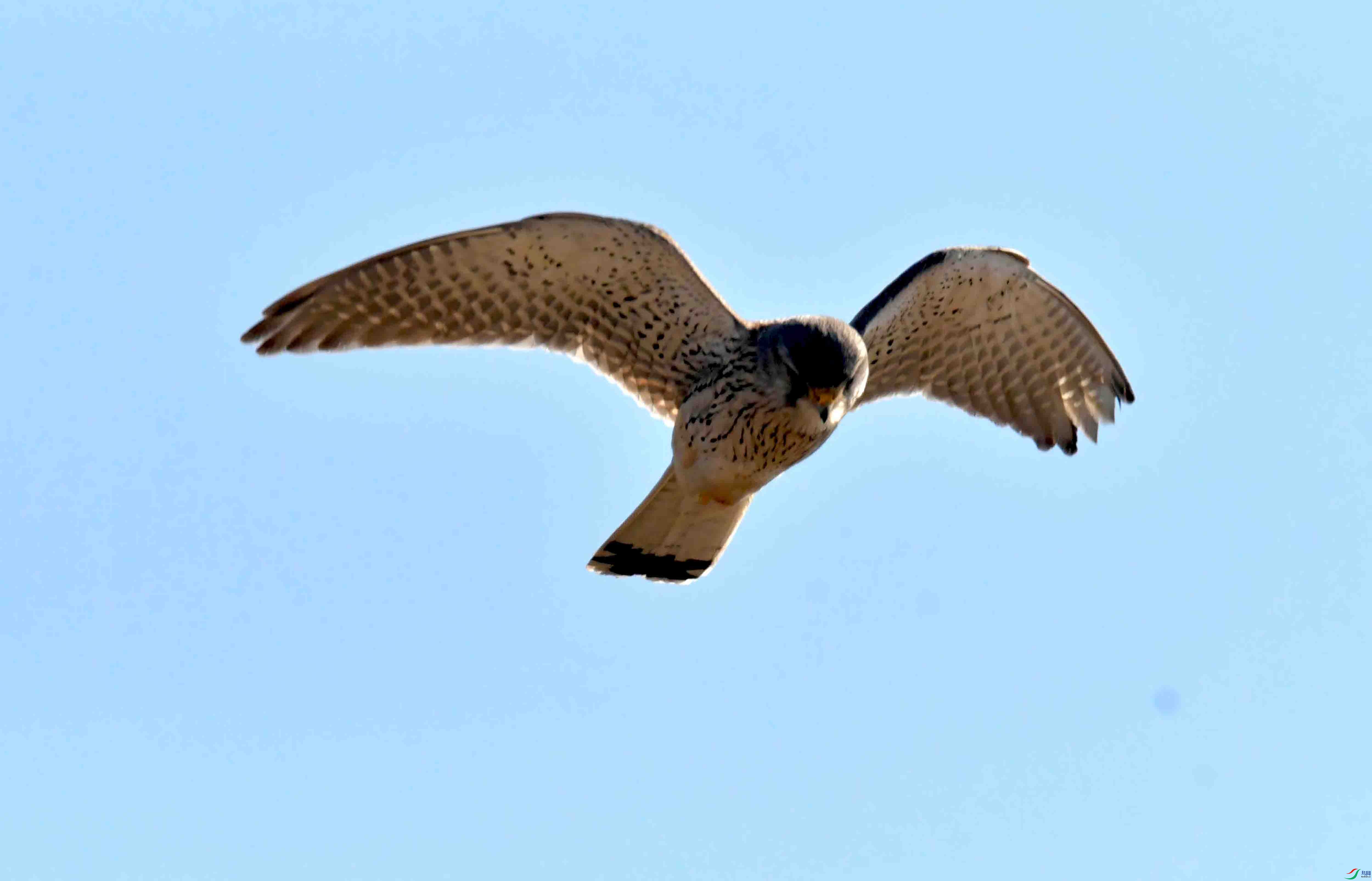 DSC_2876.JPG