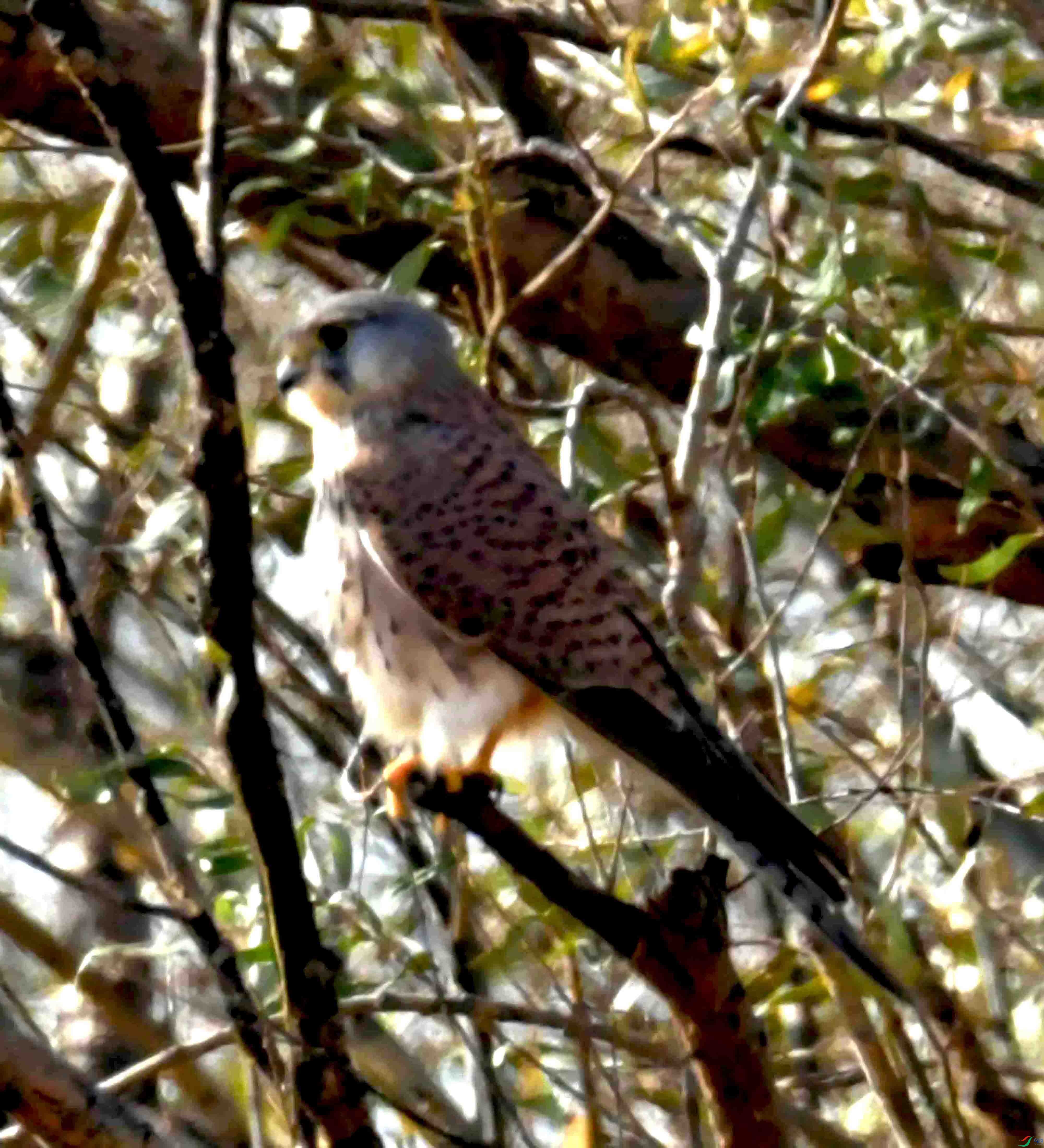 DSC_2874.JPG
