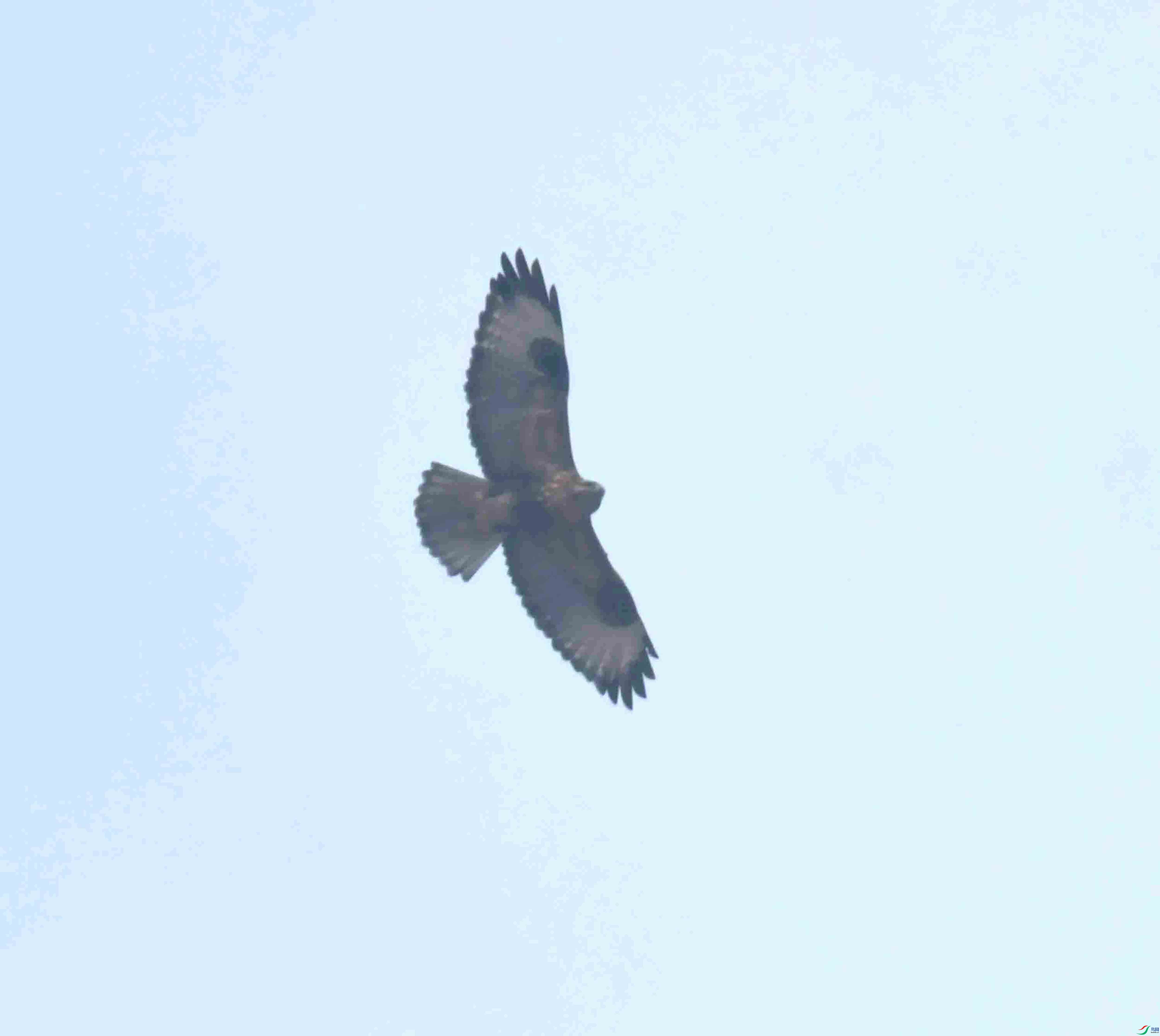 DSC_1262.JPG