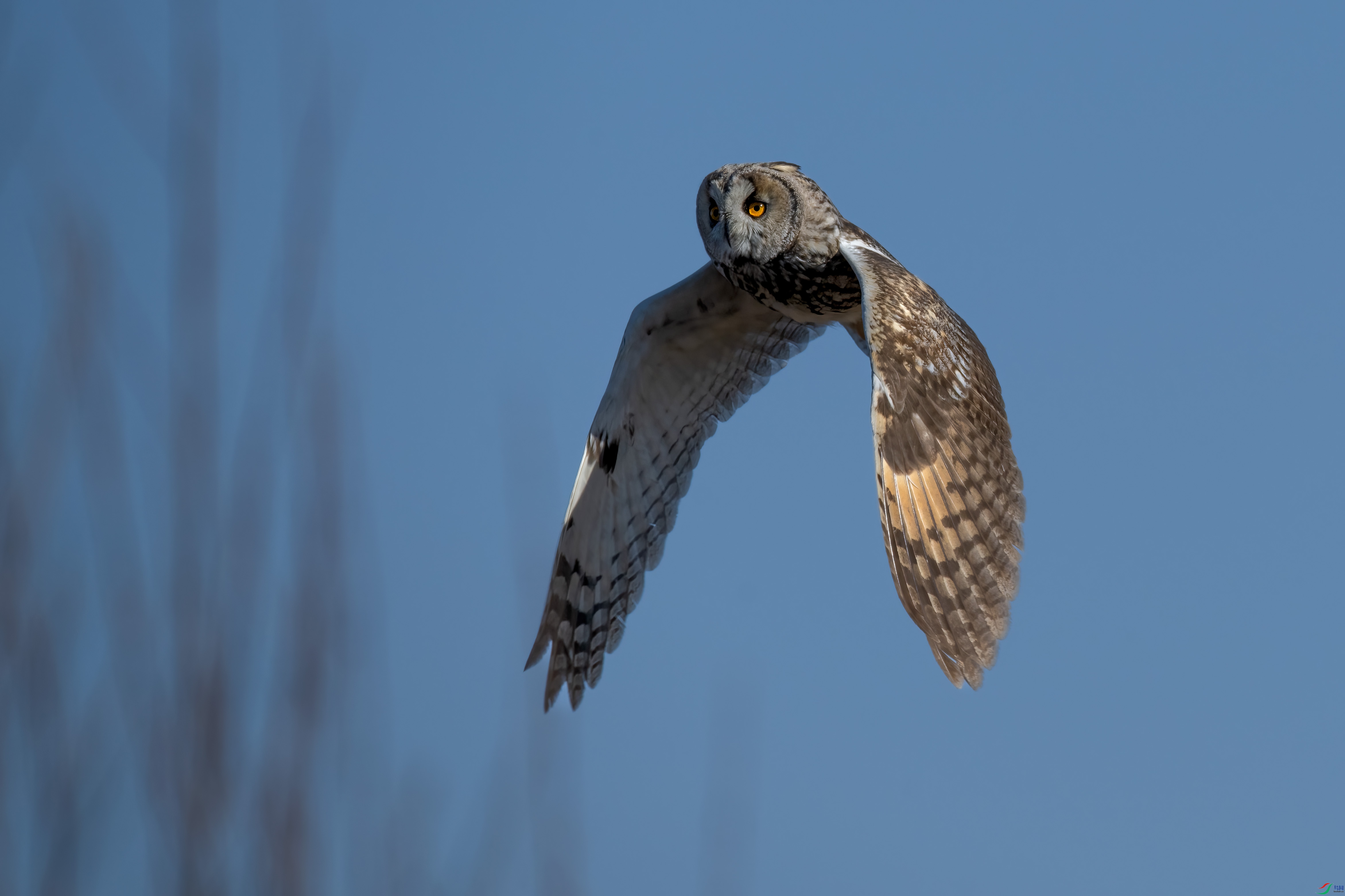DSC_7325.jpg