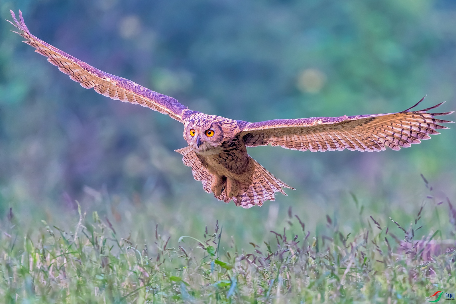 ���^----�������