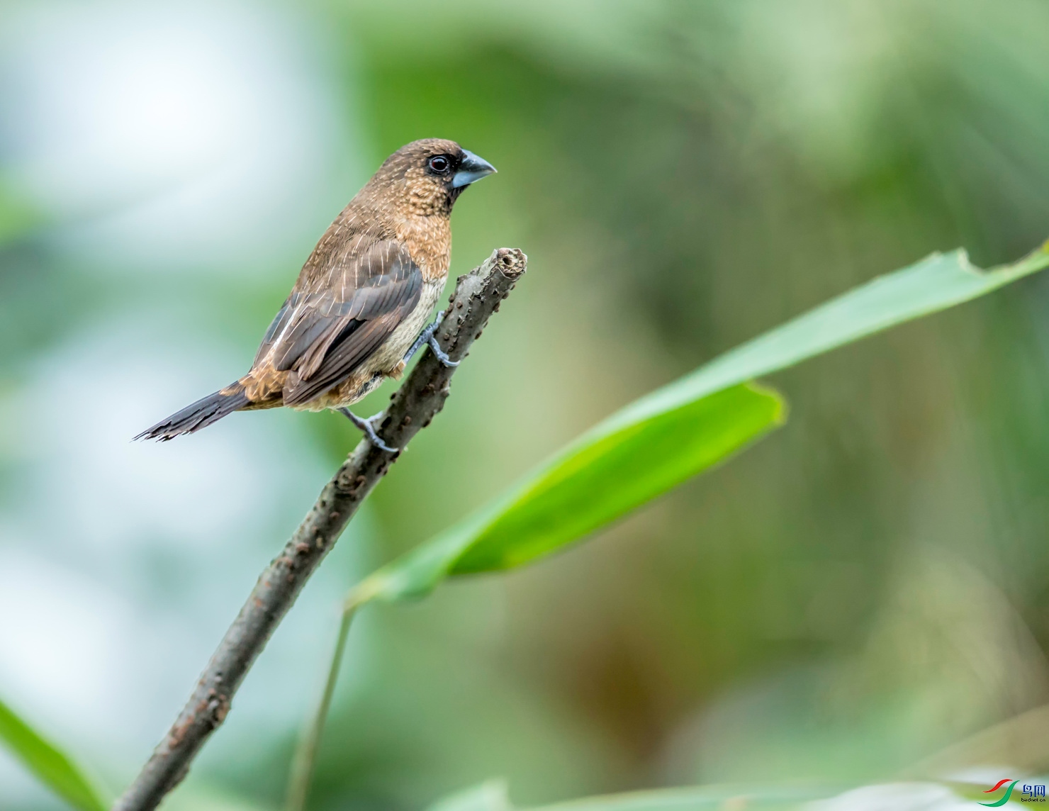_E8J9327.jpg