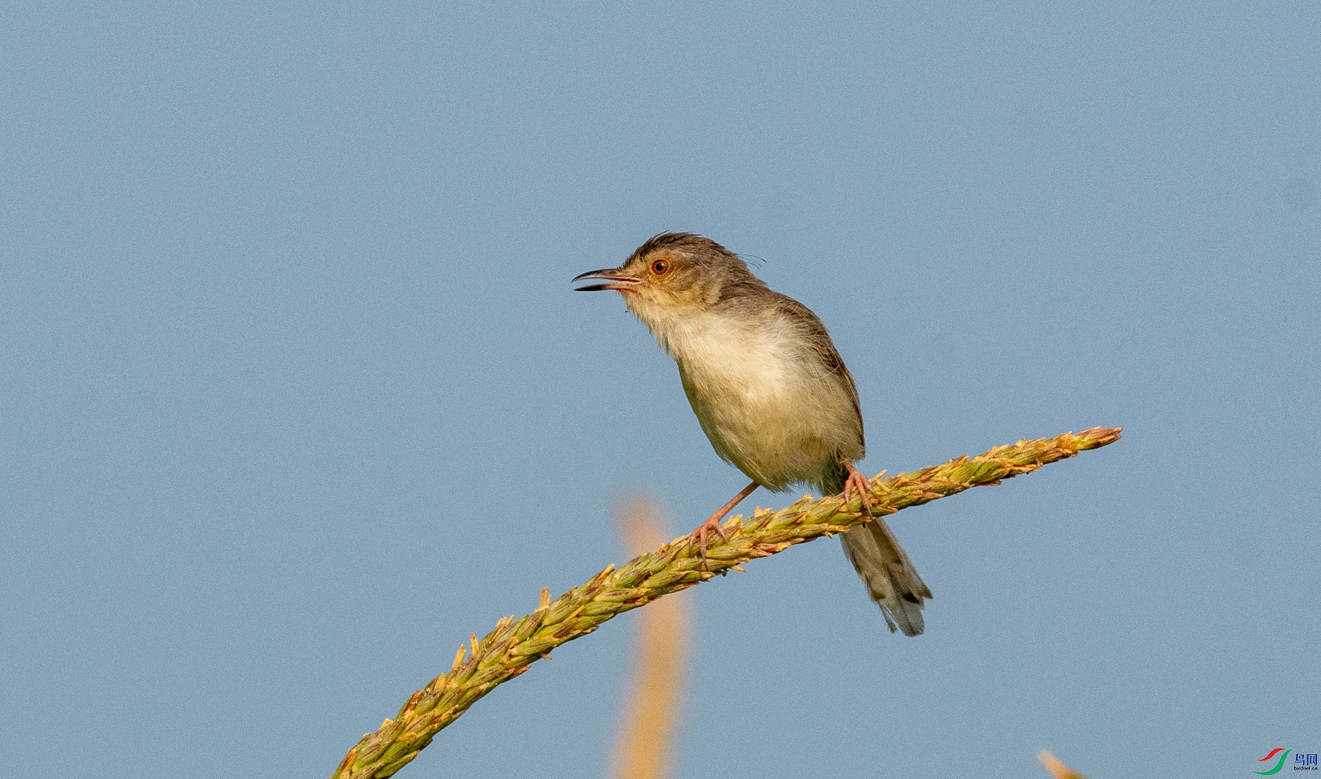 DSC_4721.jpg