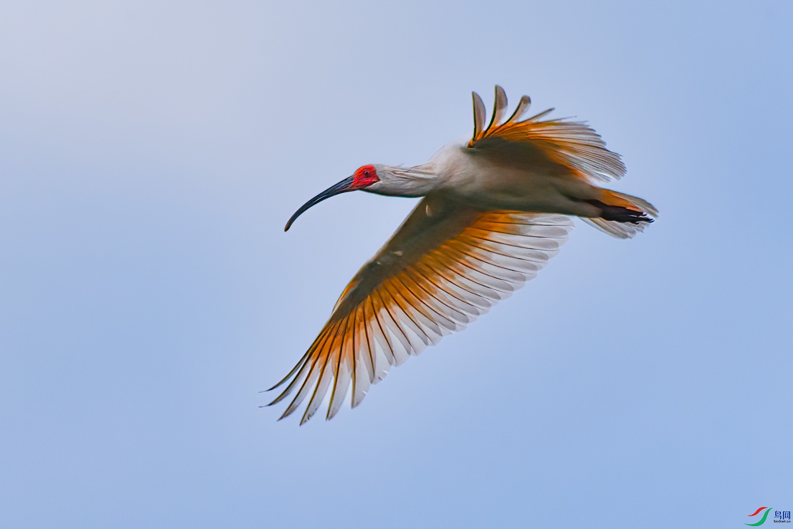 DSC_6543 ����.jpg