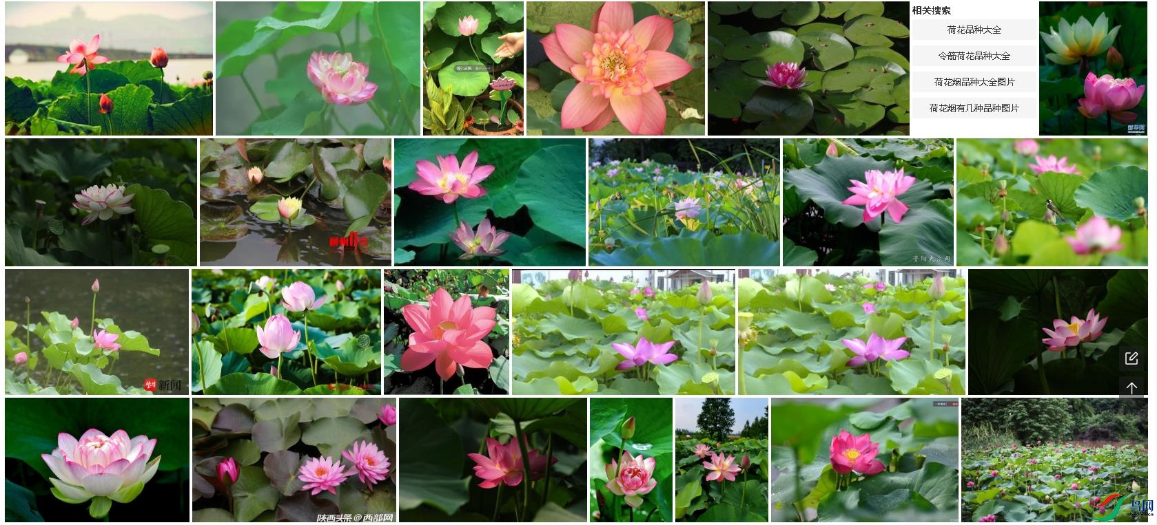 �ѹ���ͼ23��08��03��1502_7.jpg