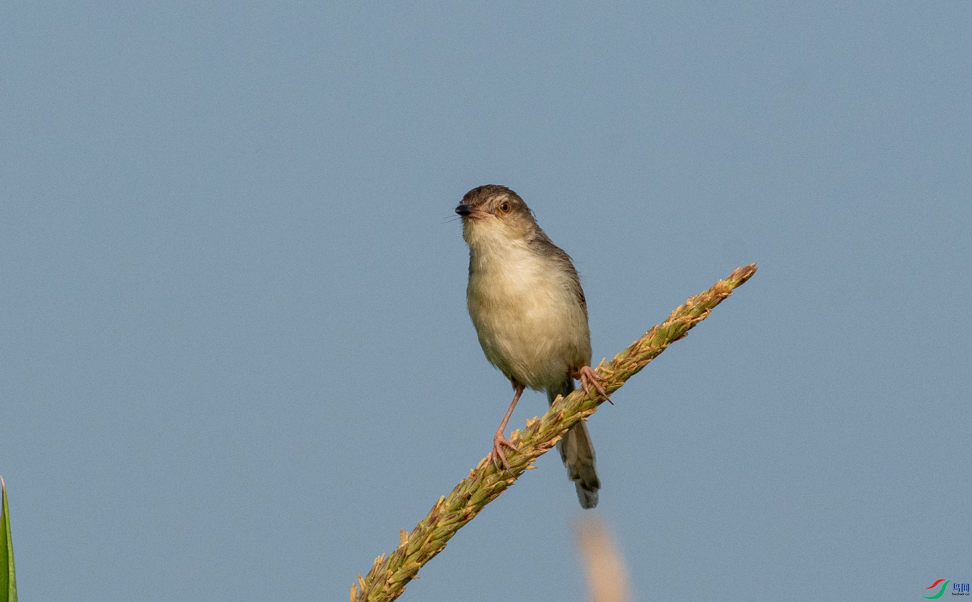 DSC_4692.jpg