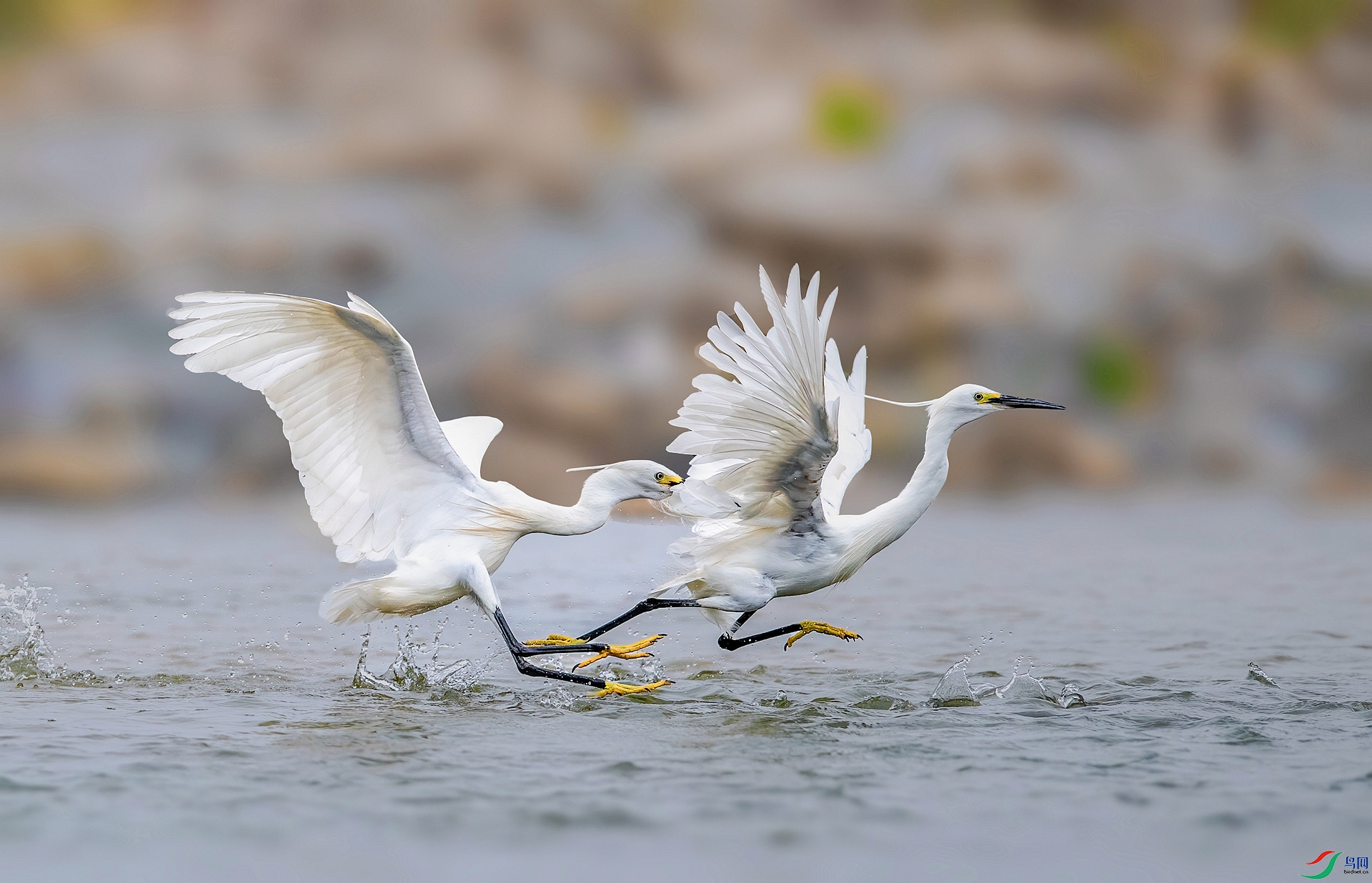 DSC_9063 ����_���� ���� 2.jpg