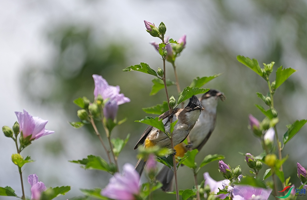 DSCF2757.1.jpg