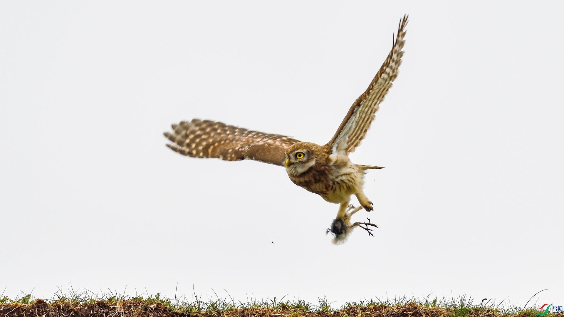 _DSC0044_����.jpg