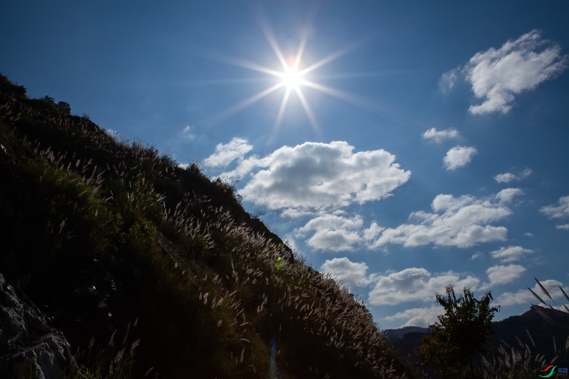 IMG_5543 _����.jpg