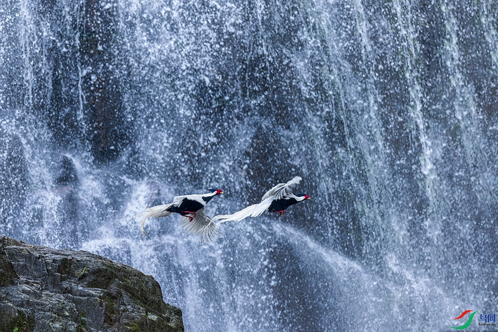 fjyaR230326 (7286)_DxO.jpg