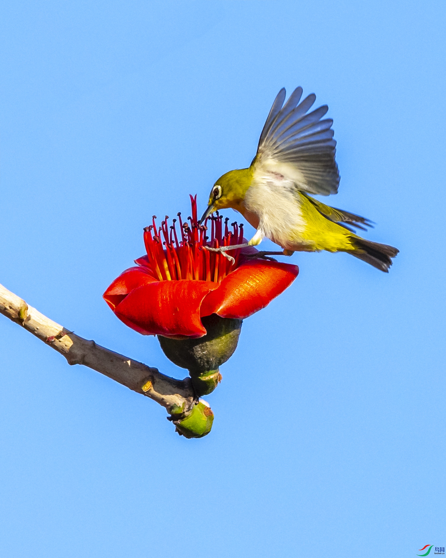 2410 ����.jpg