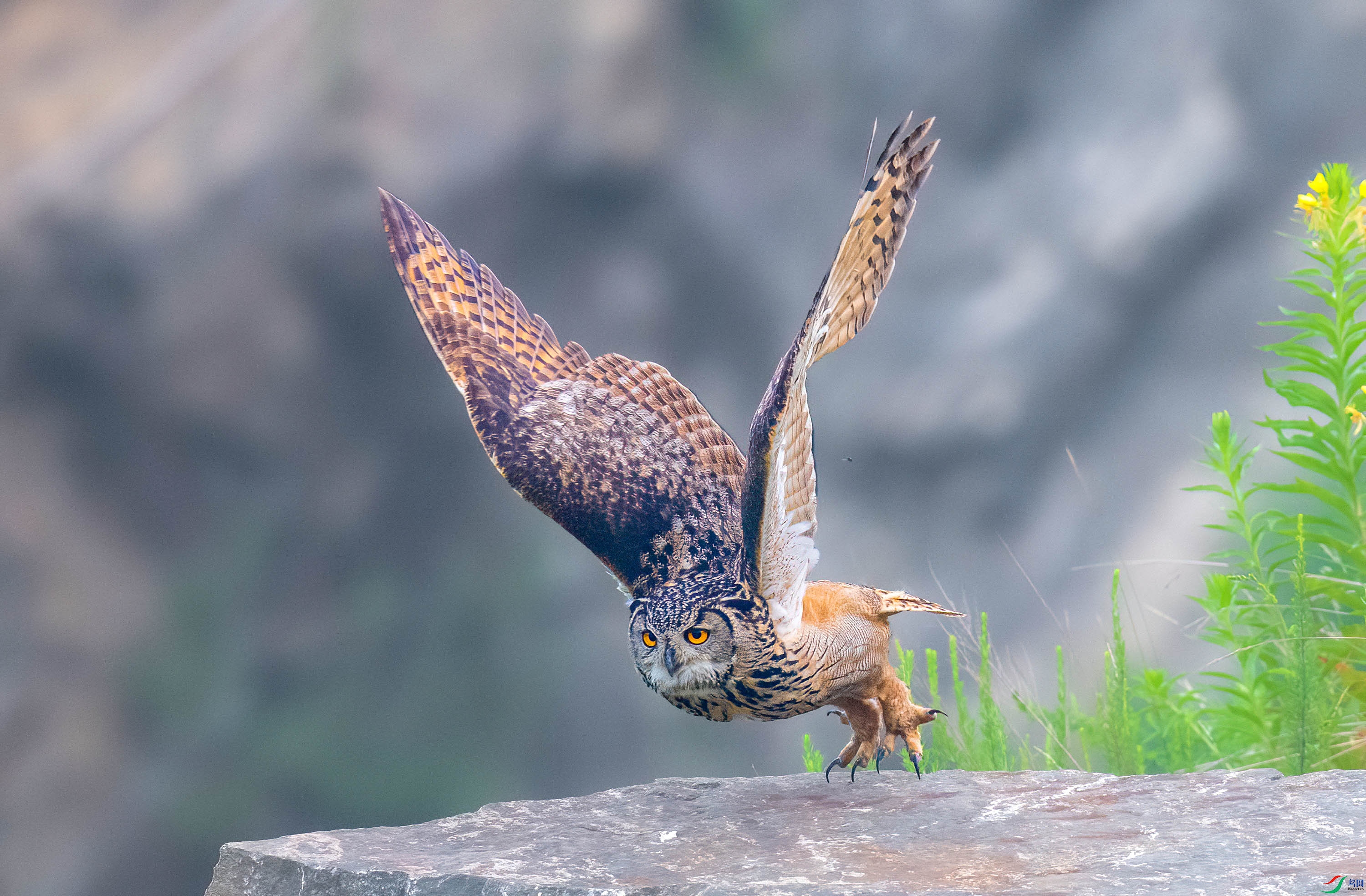 _JLN1884 ����OK.jpg