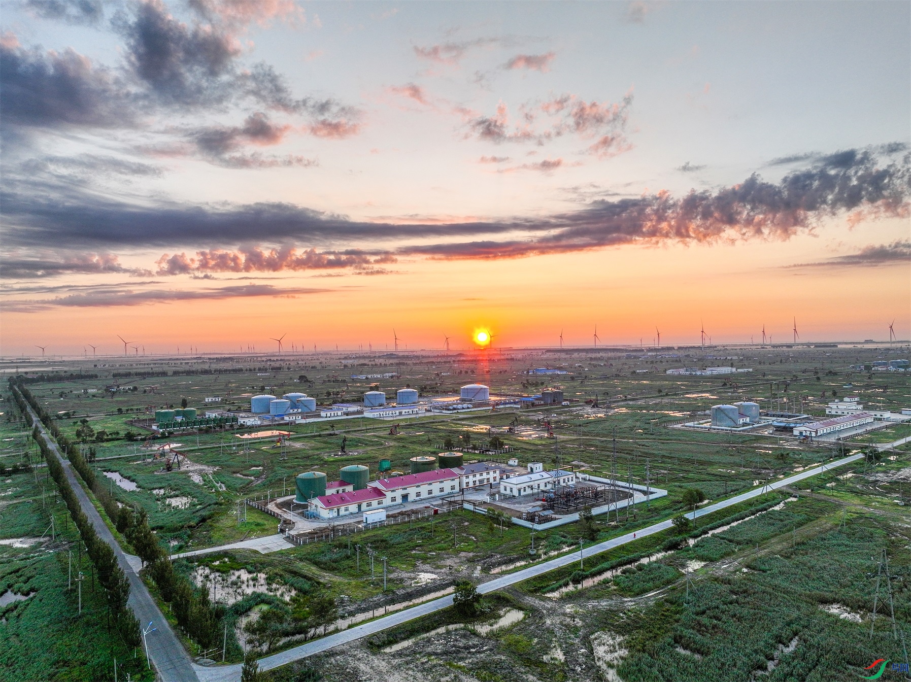 dji_fly_20230731_042530_681_1690749692368_photo ����1.jpg