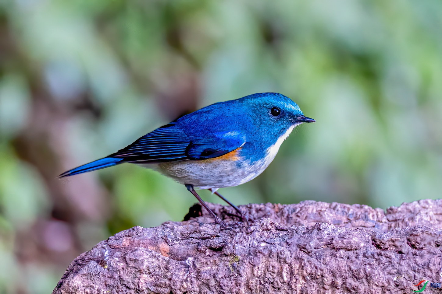 ��ü���.jpg