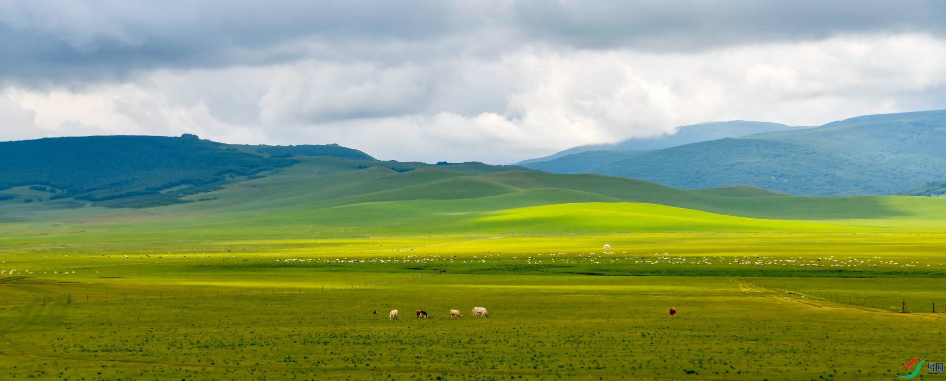 ���������ֹ��ղ�ԭ