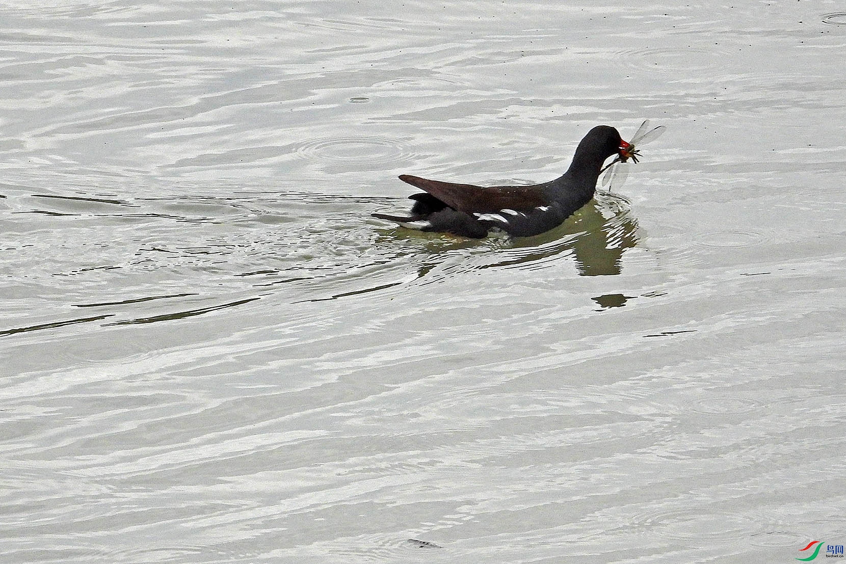 DSCN7902.jpg