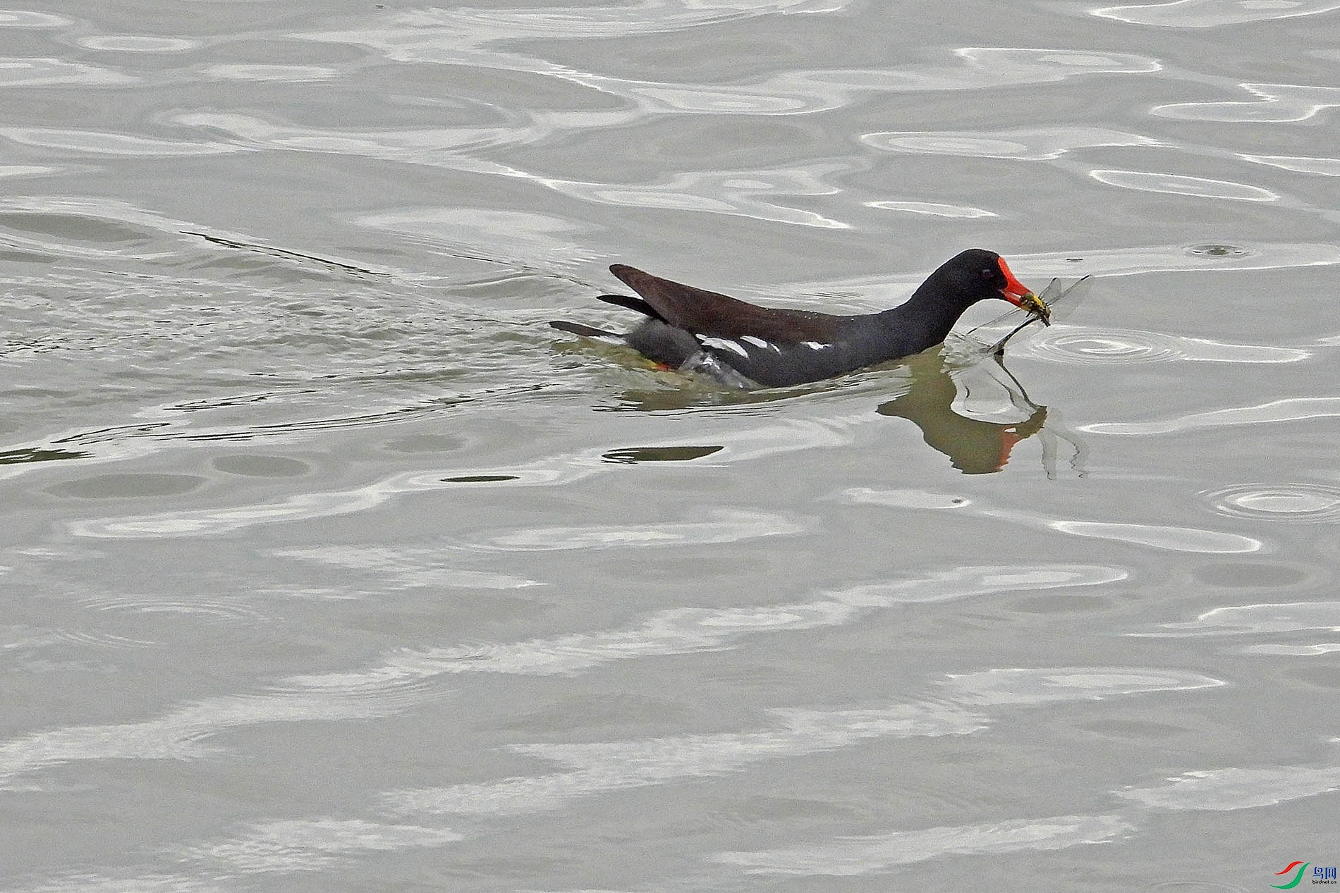 DSCN7898.jpg