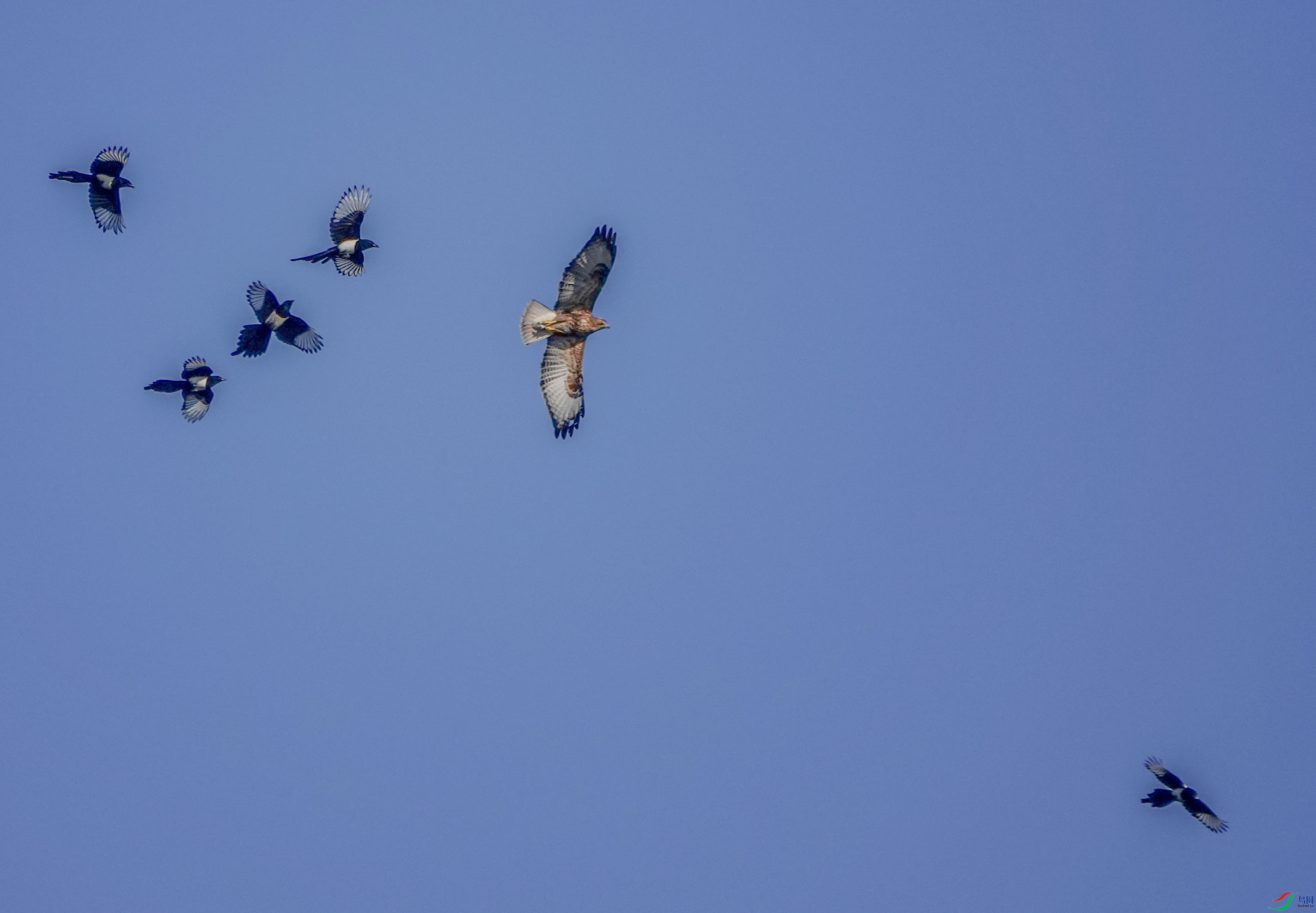 DSC04811.JPG