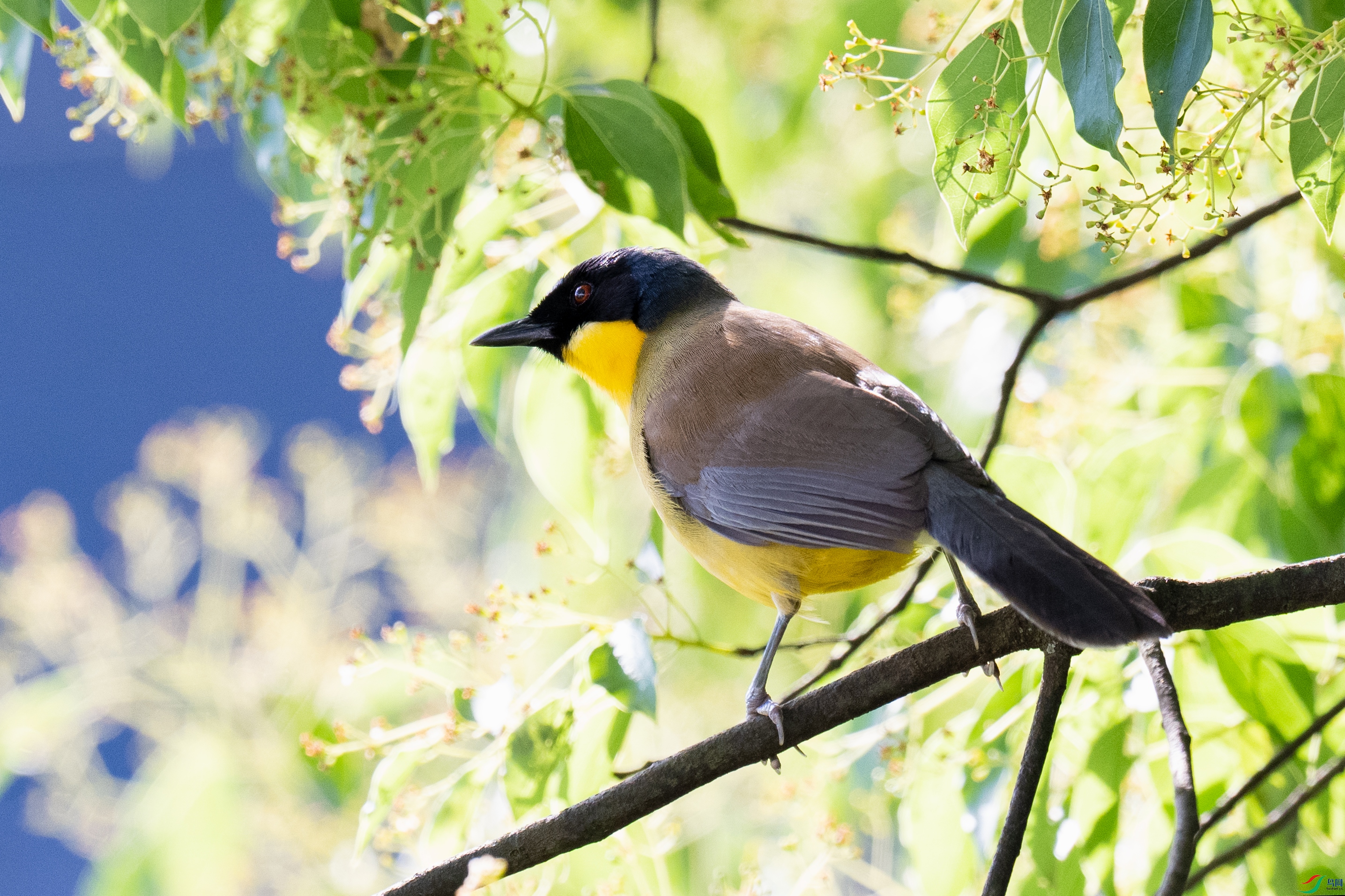 _DSC1861 ����.jpg