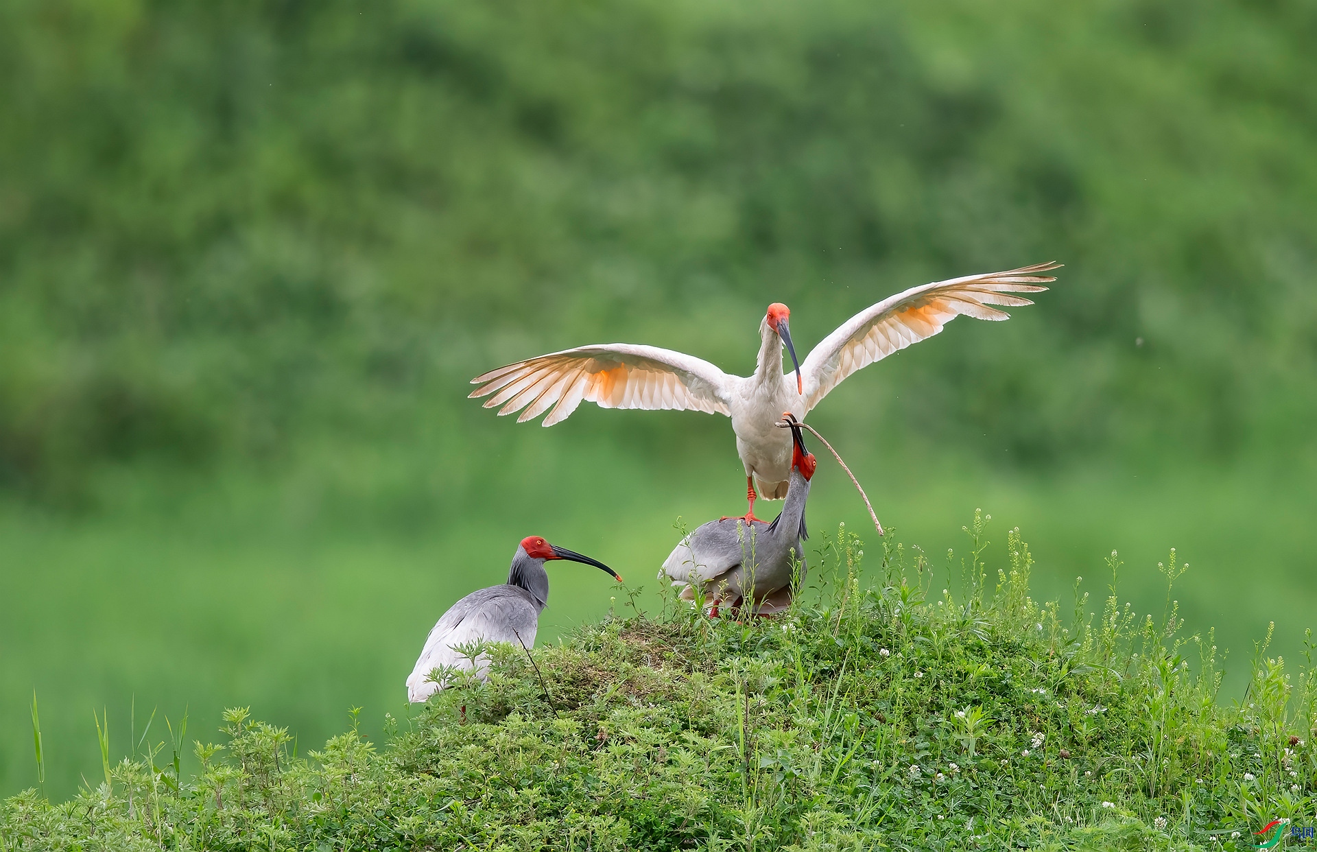 DSC_7881 ����_����.jpg