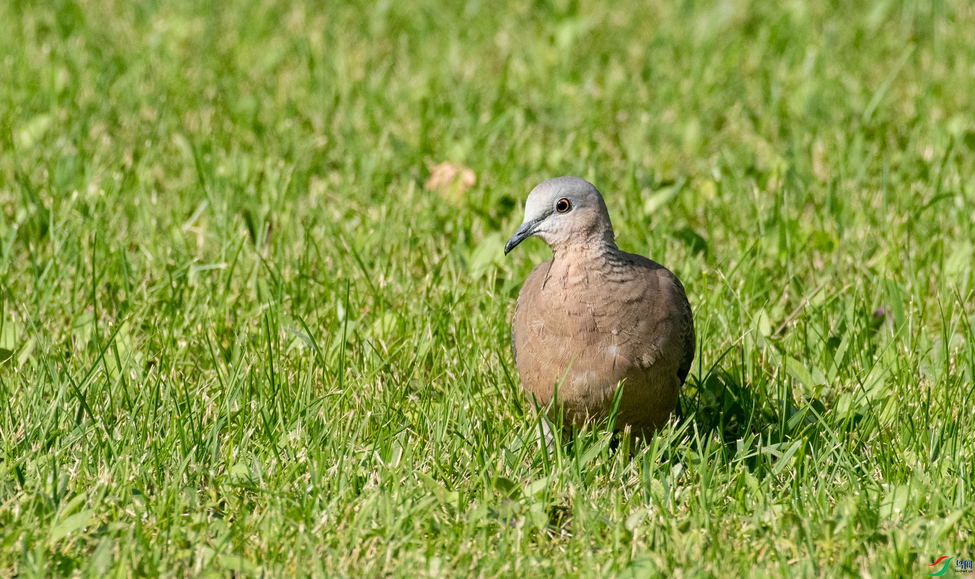 DSC_0570.jpg
