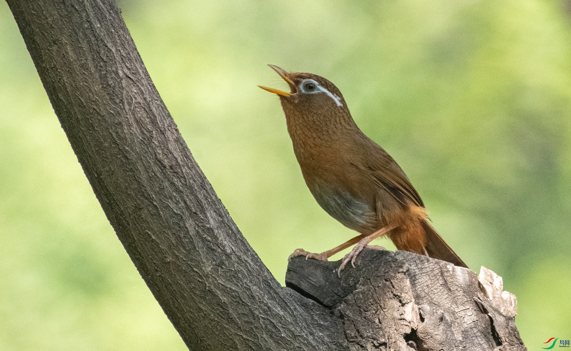 DSC_0800.jpg