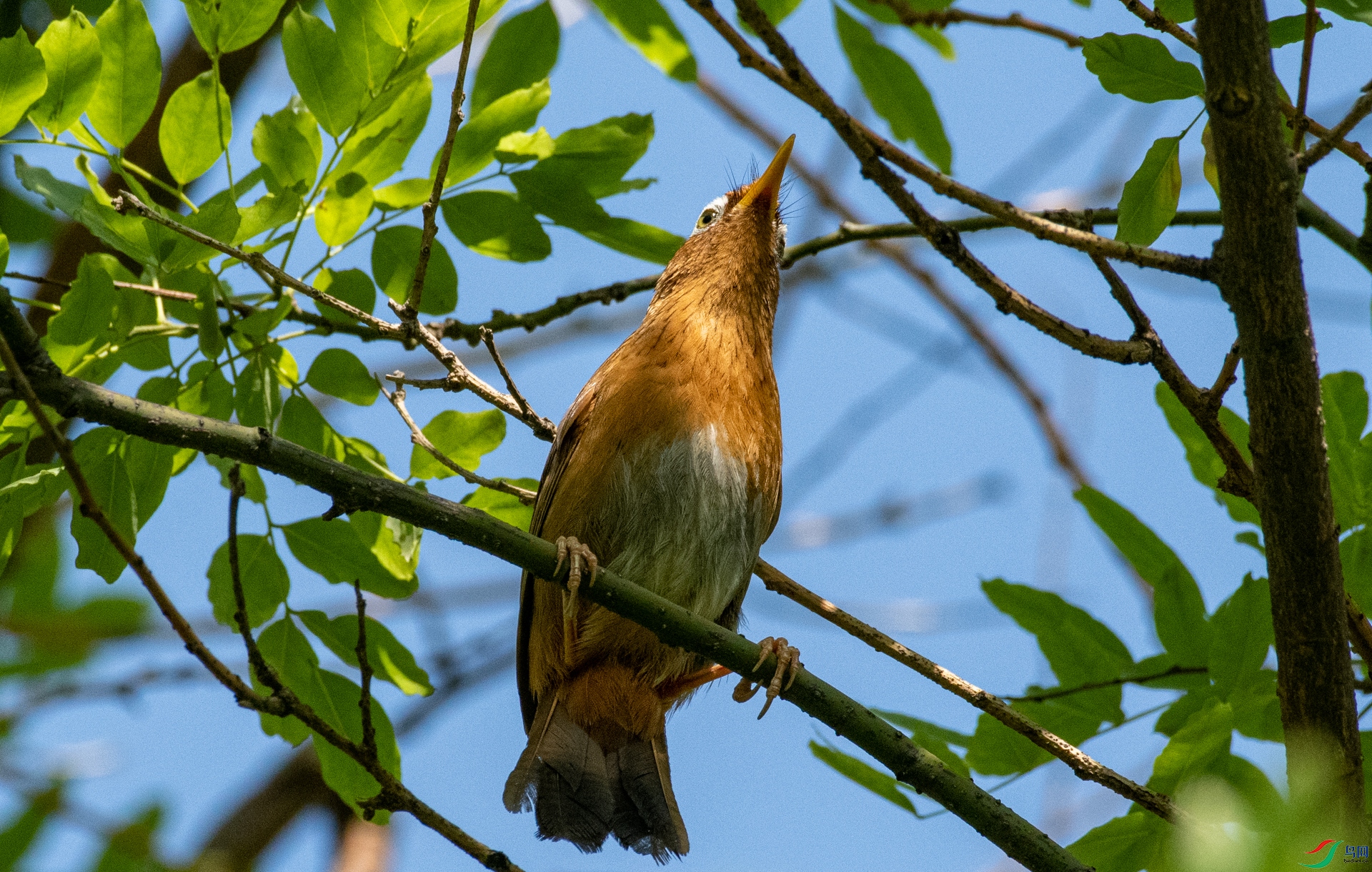 DSC_0710.jpg