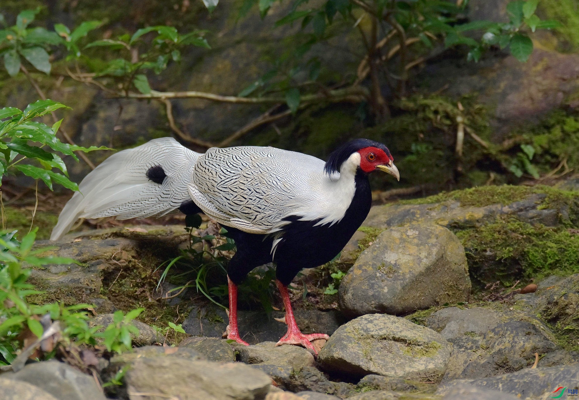 D72_2252.jpg