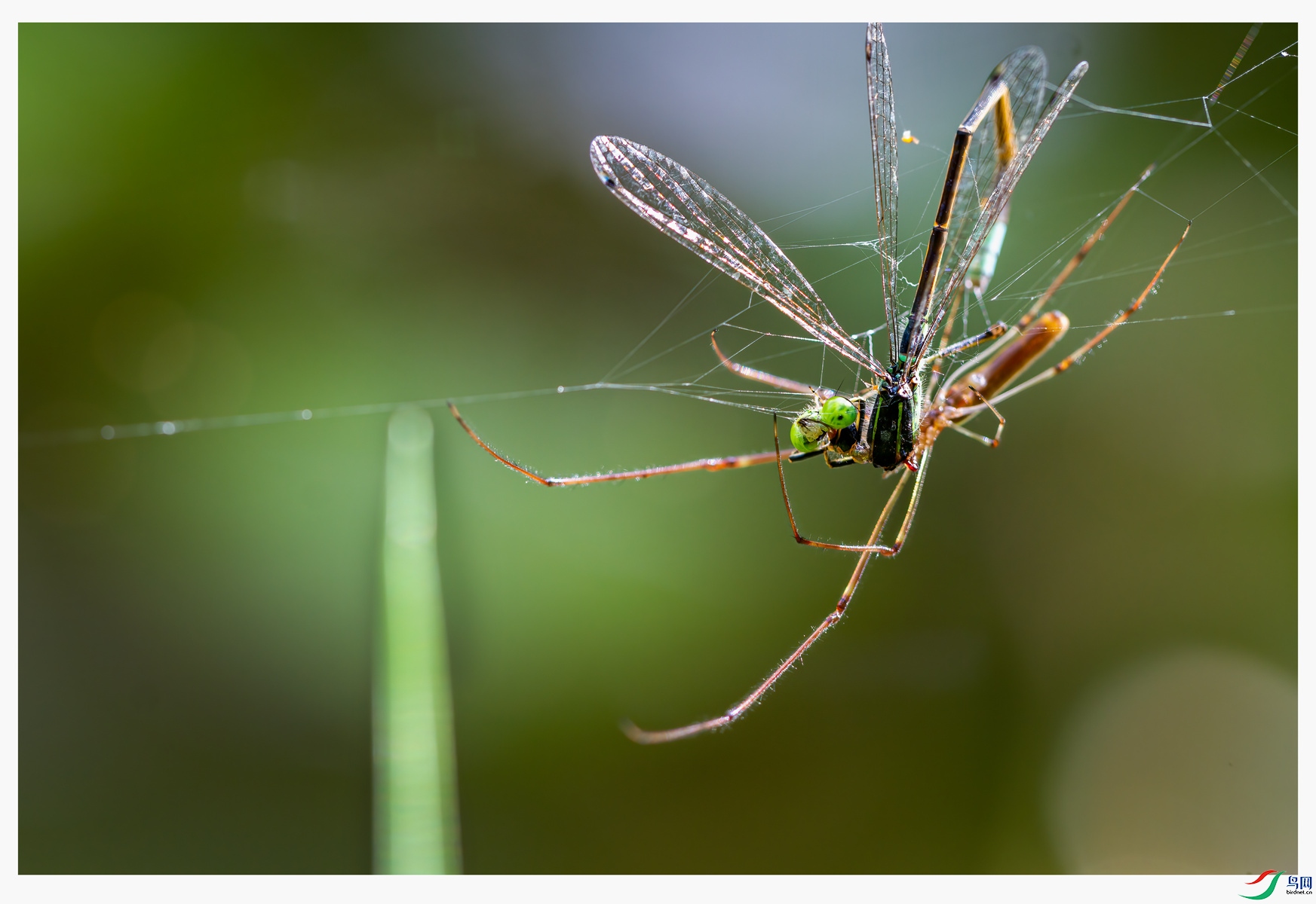 IMG_6732 ����_����.jpg