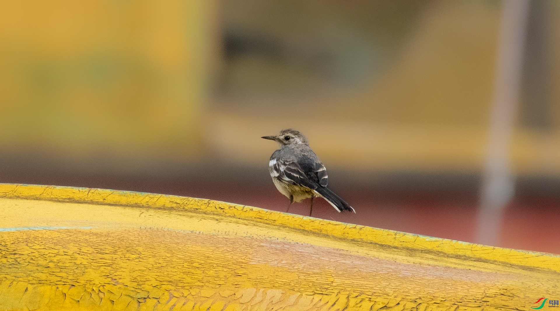 DSC_4844.jpg