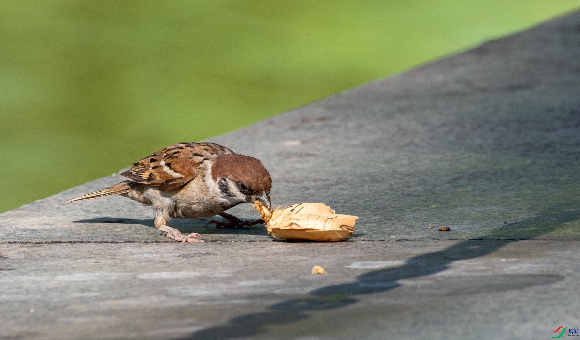 DSC_4866.jpg