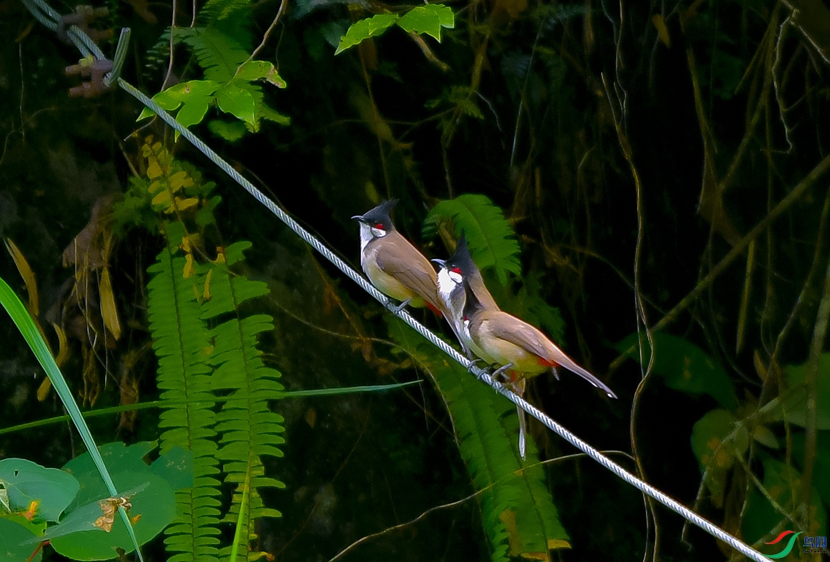 DSC_2568.JPG