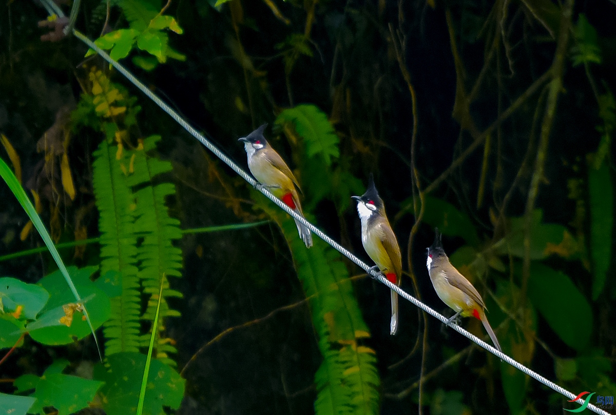DSC_2541.JPG
