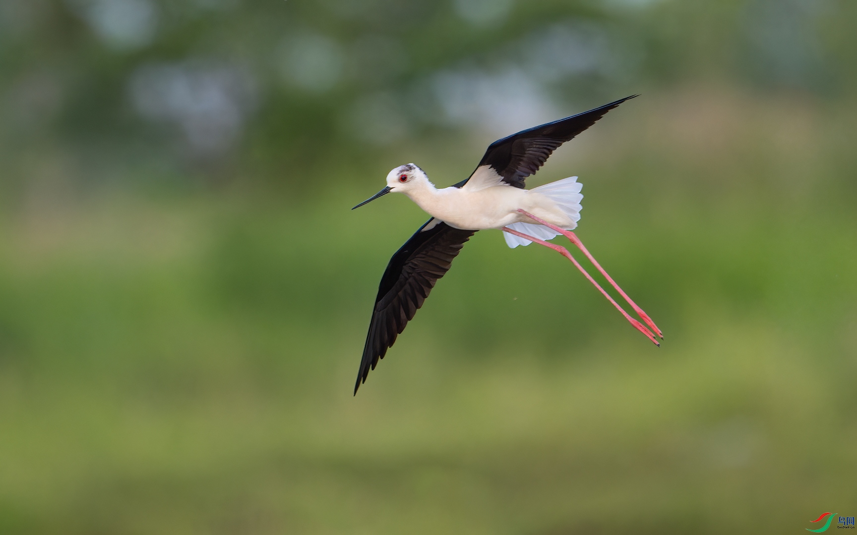 _DSC6743_DxO.jpg