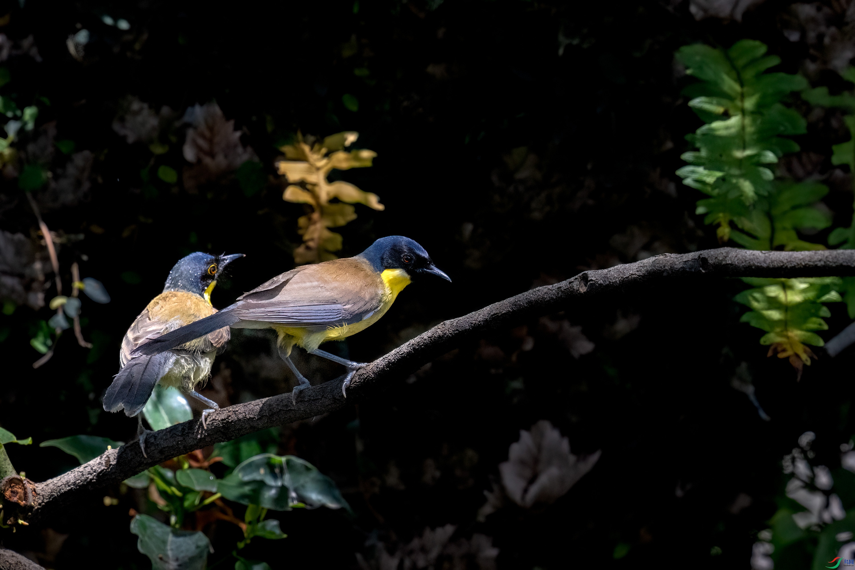 _DSC4153.jpg