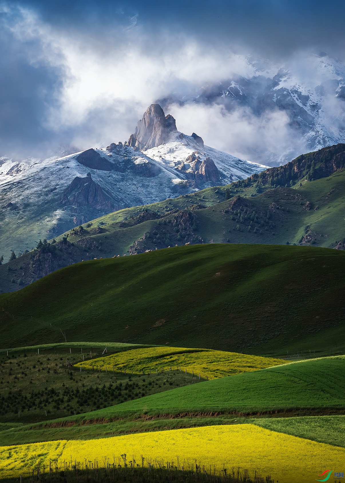 �������ຣ�����ء�